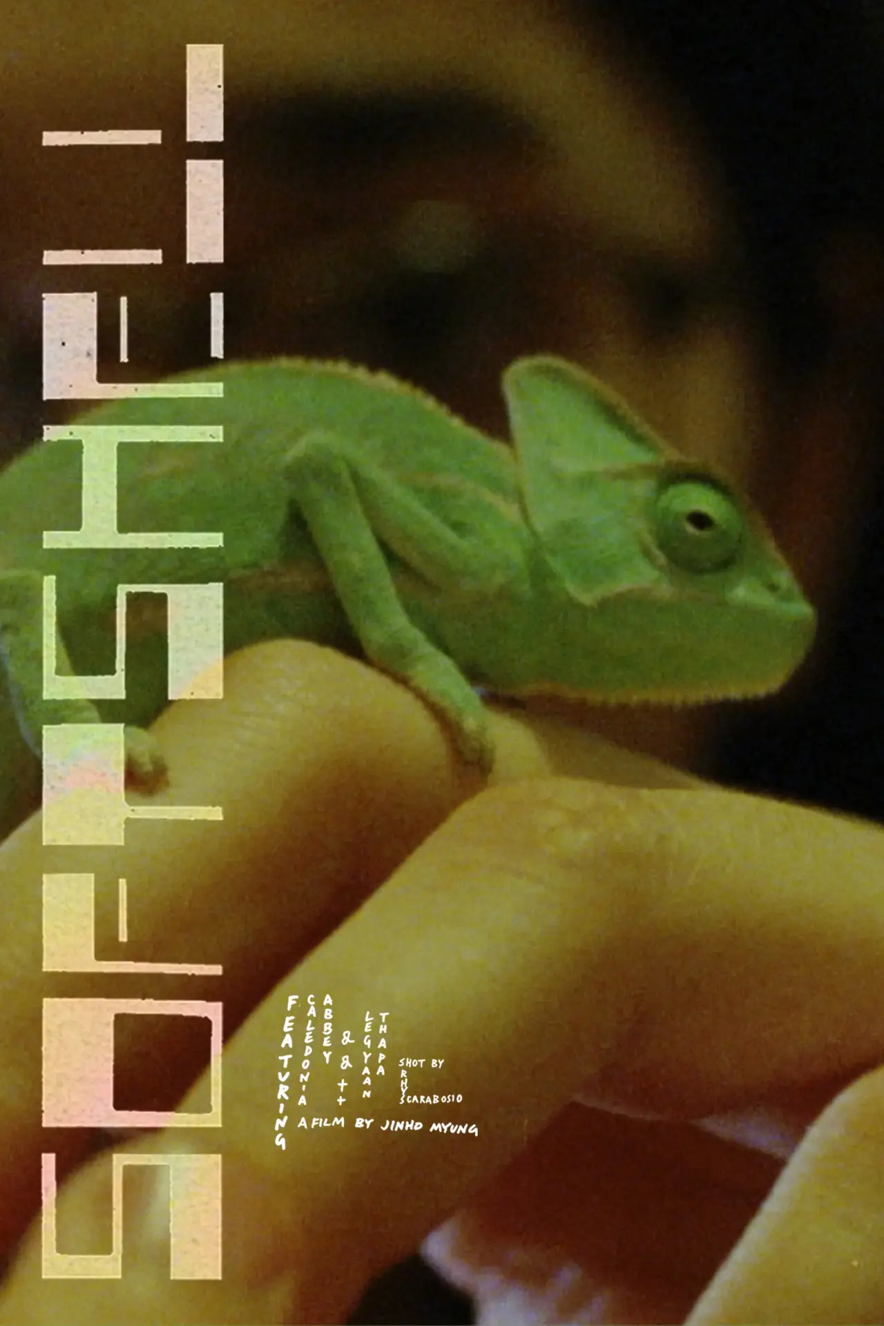 Movie poster "Softshell"