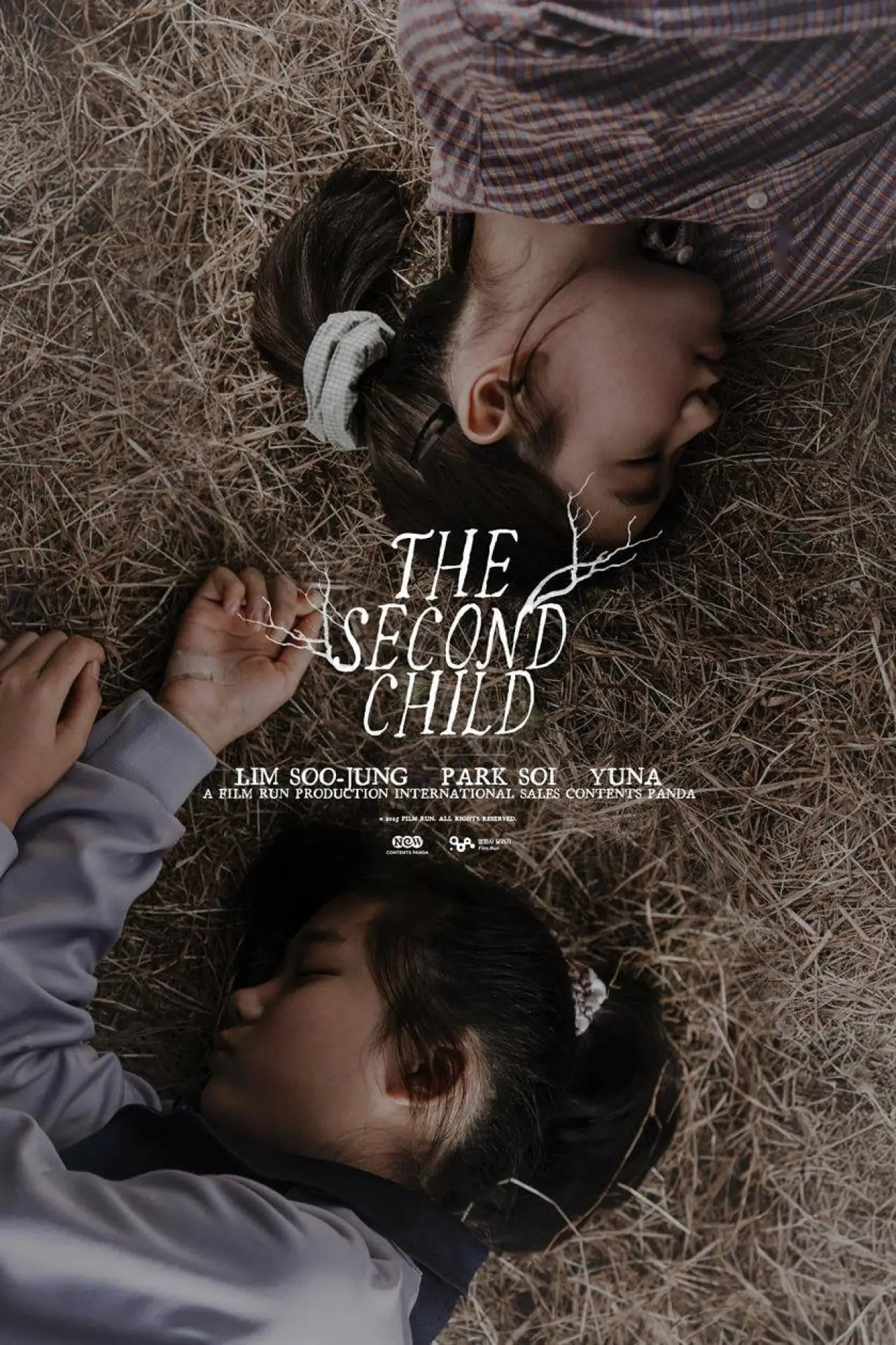 Movie poster "The Second Child"