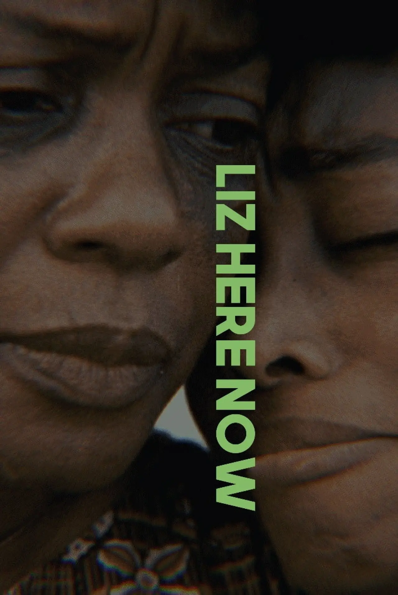 Movie poster "Liz Here Now"
