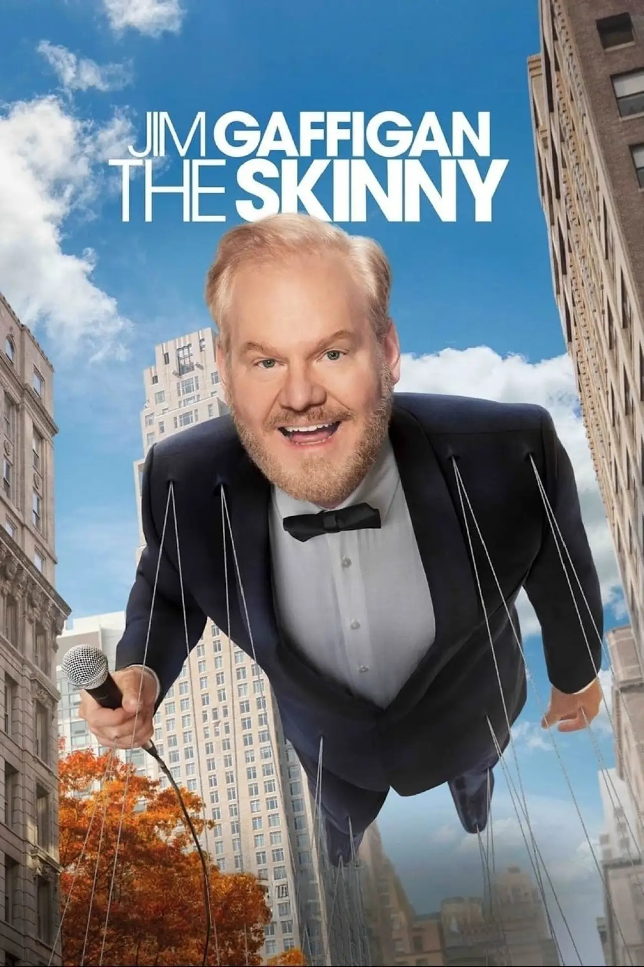 Movie poster "Jim Gaffigan: The Skinny"