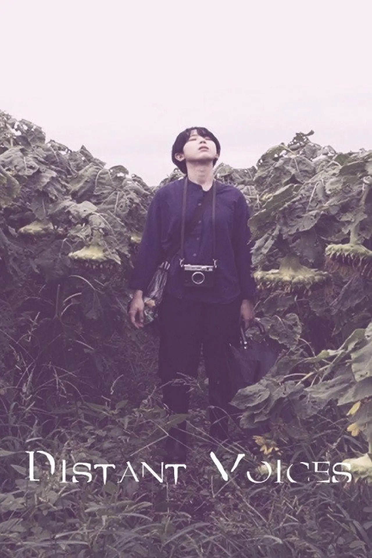 Movie poster "Distant Voices"