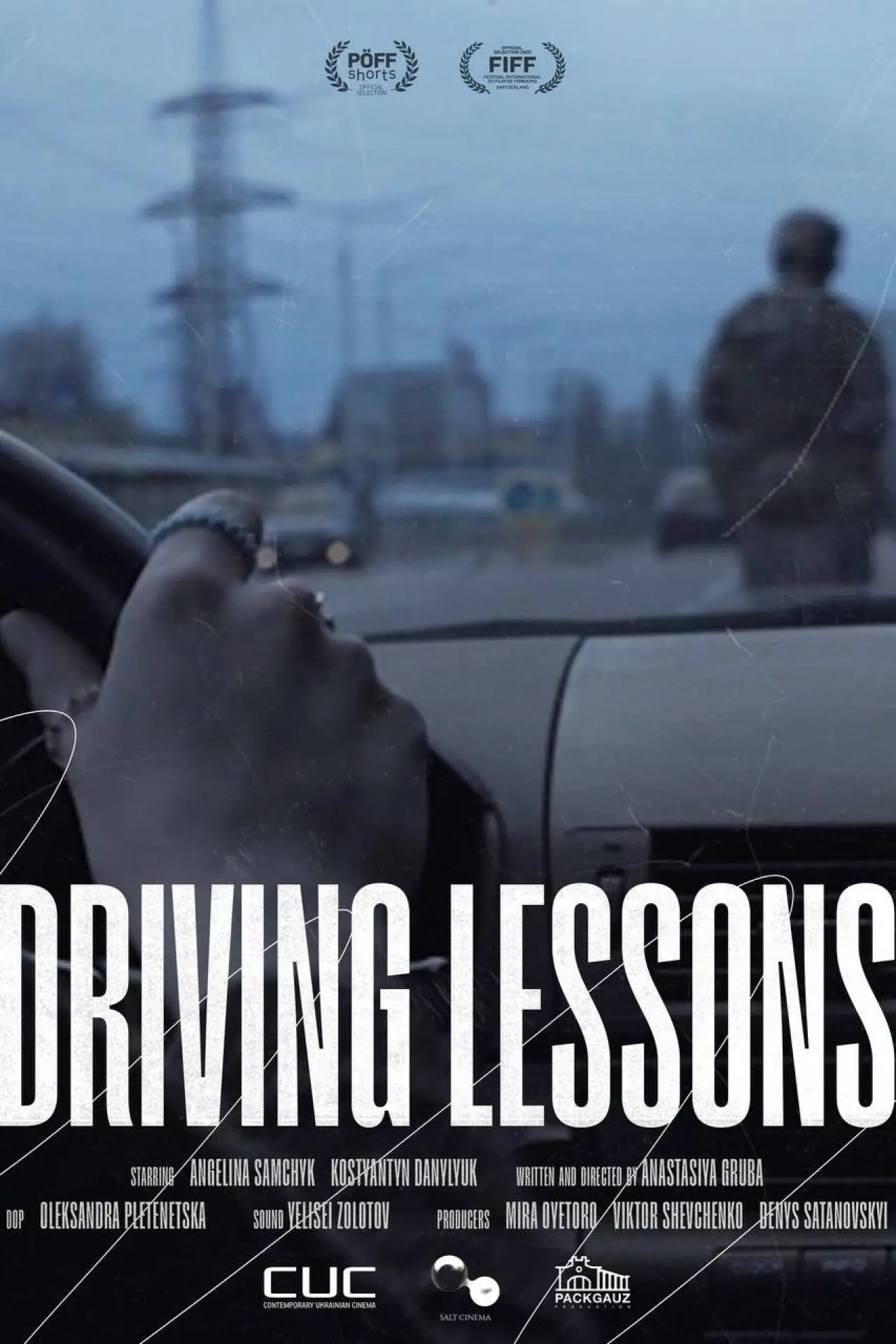 Movie poster "Driving Lessons"