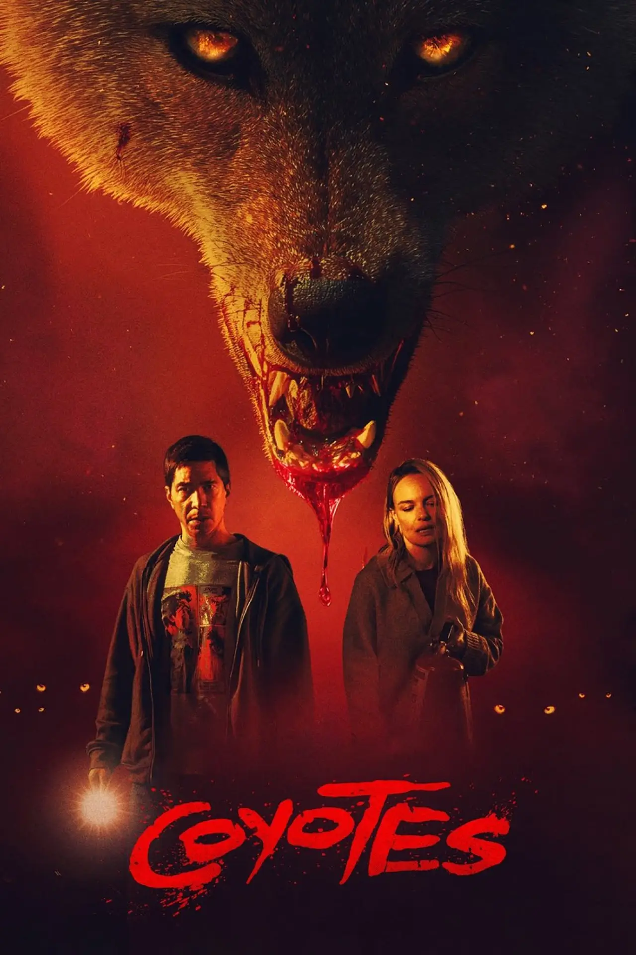 Movie poster "Coyotes"