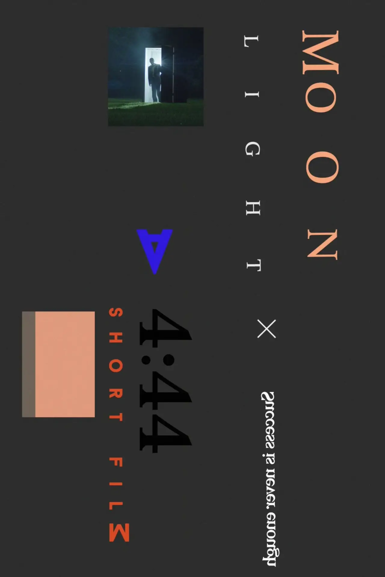 Movie poster "Moonlight"