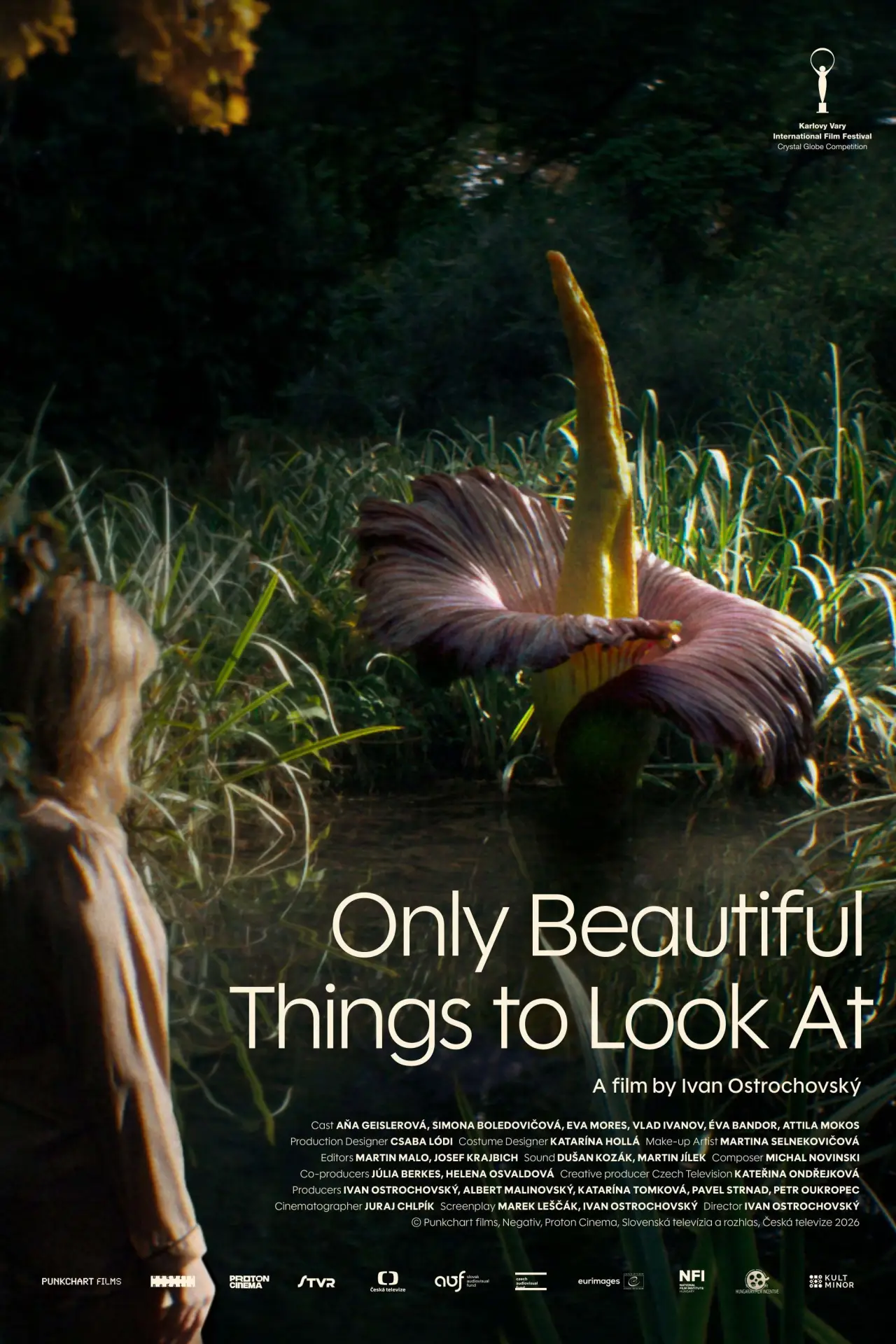 Movie poster "Only Beautiful Things to Look At"