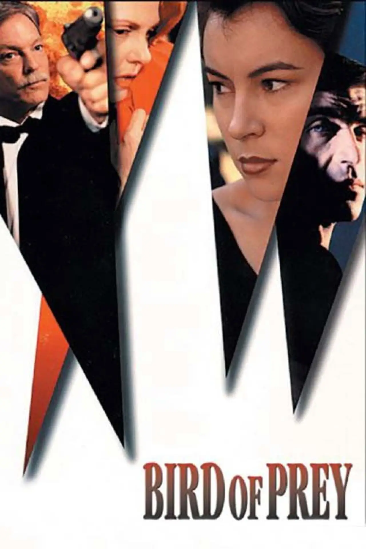 Movie poster "Bird of Prey"