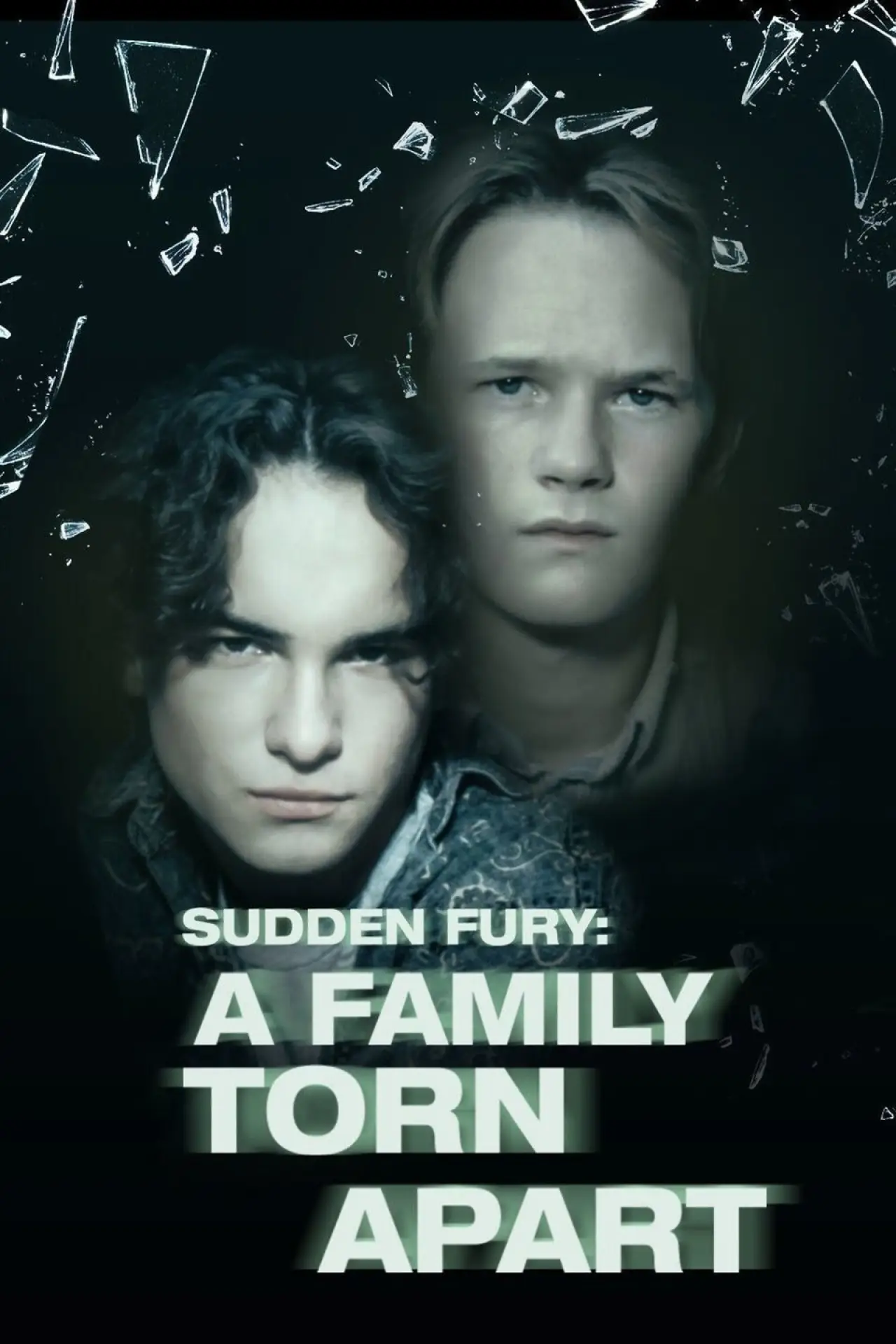 Movie poster "Sudden Fury"