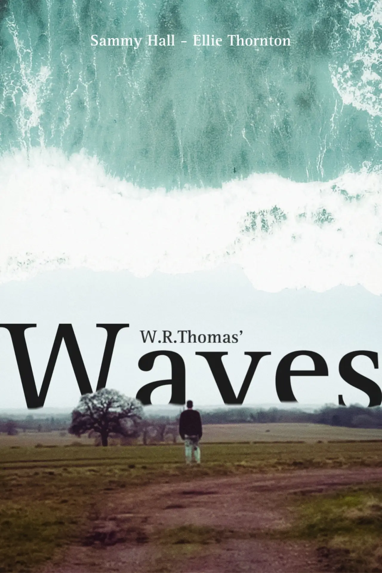 Movie poster "Waves"