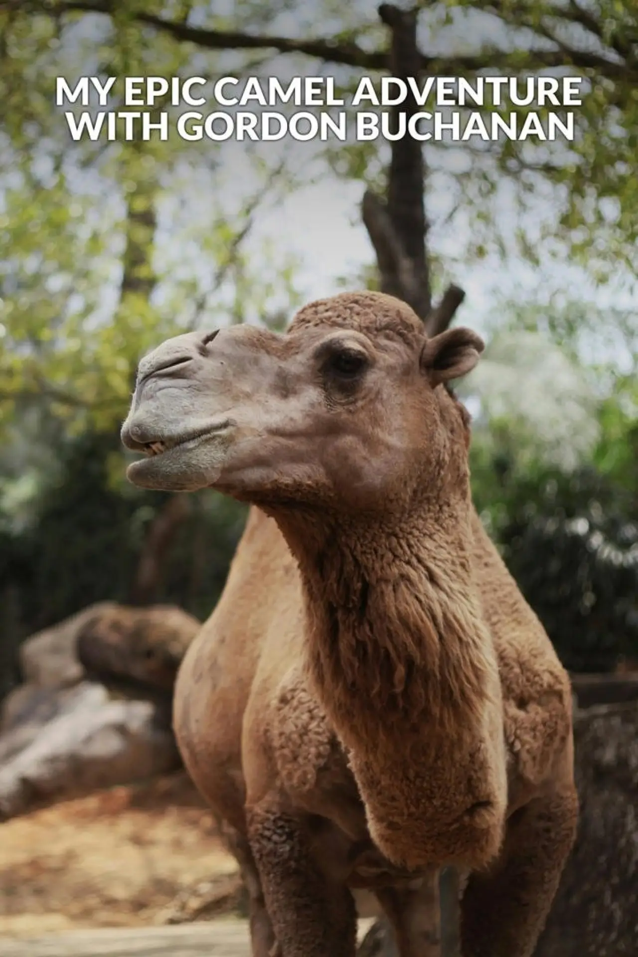 Movie poster "My Epic Camel Adventure With Gordon Buchanan"