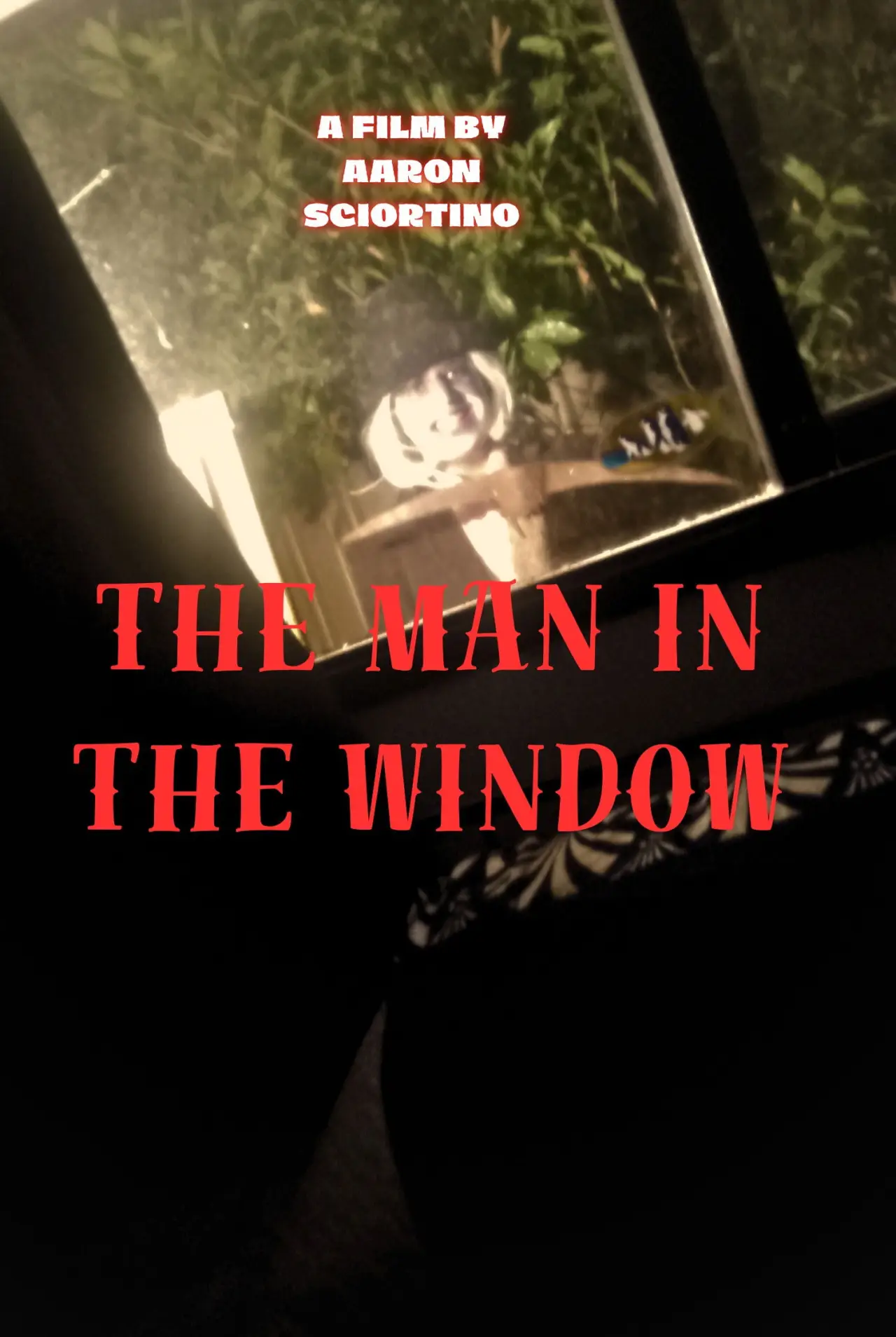 Movie poster "The man in the window"