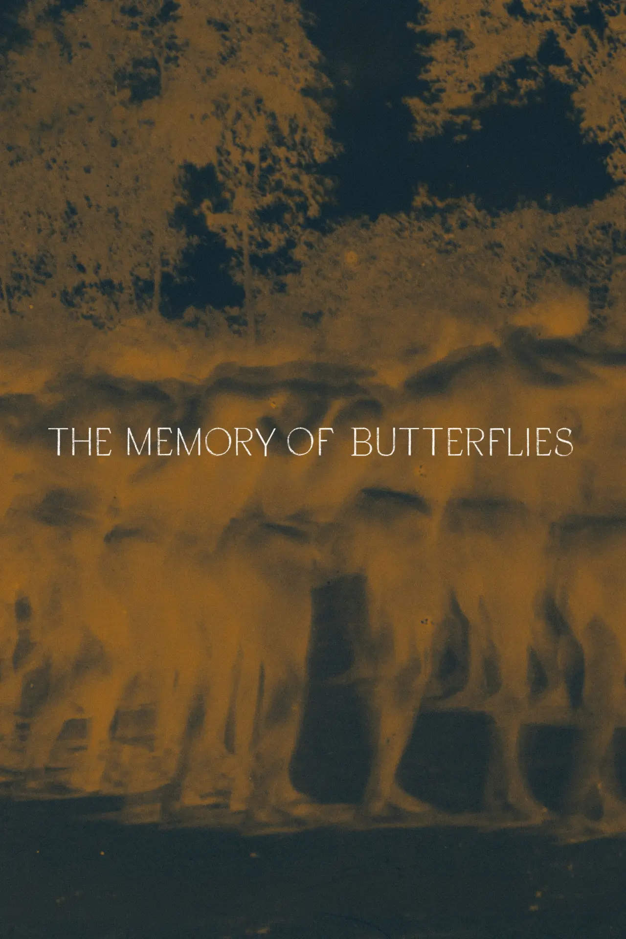 Movie poster "The Memory of Butterflies"