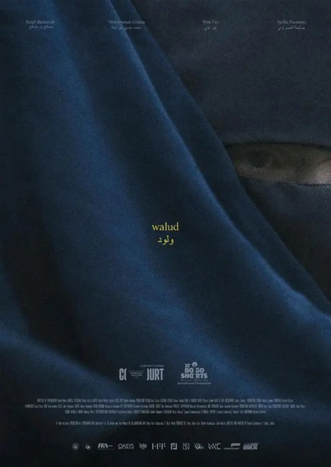 Movie poster "Walud"