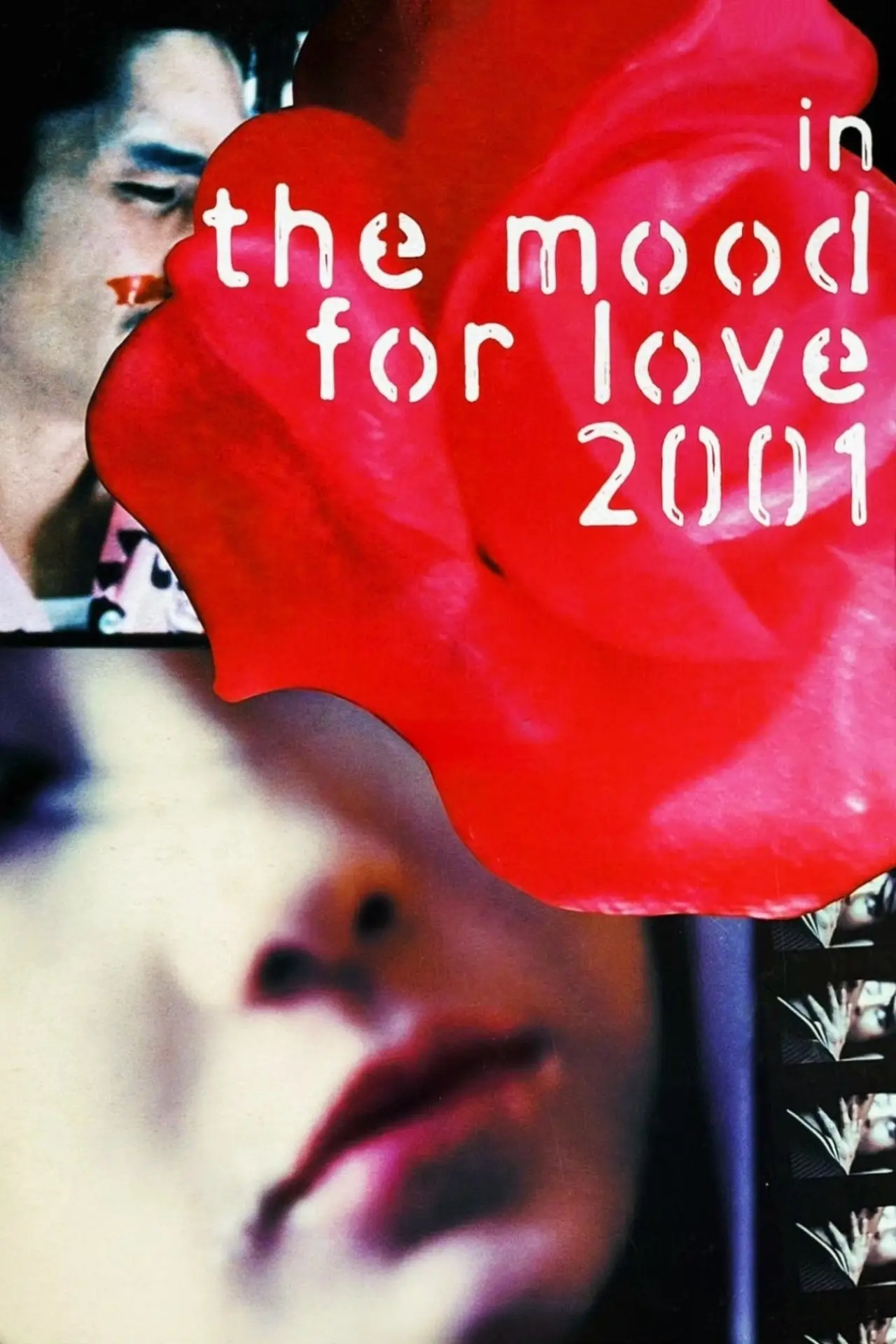 Movie poster "In the Mood for Love 2001"