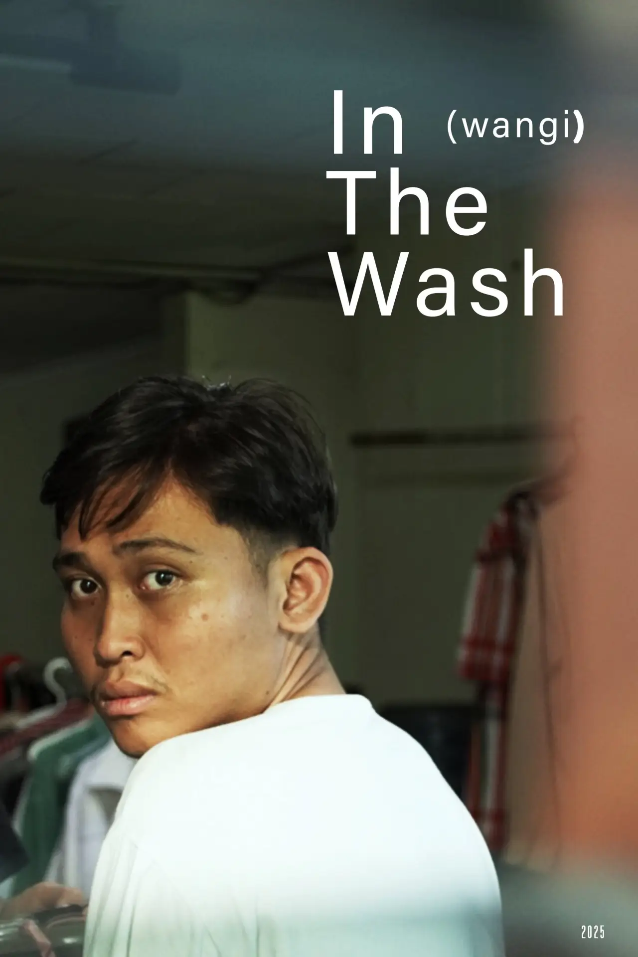 Movie poster "In The Wash"