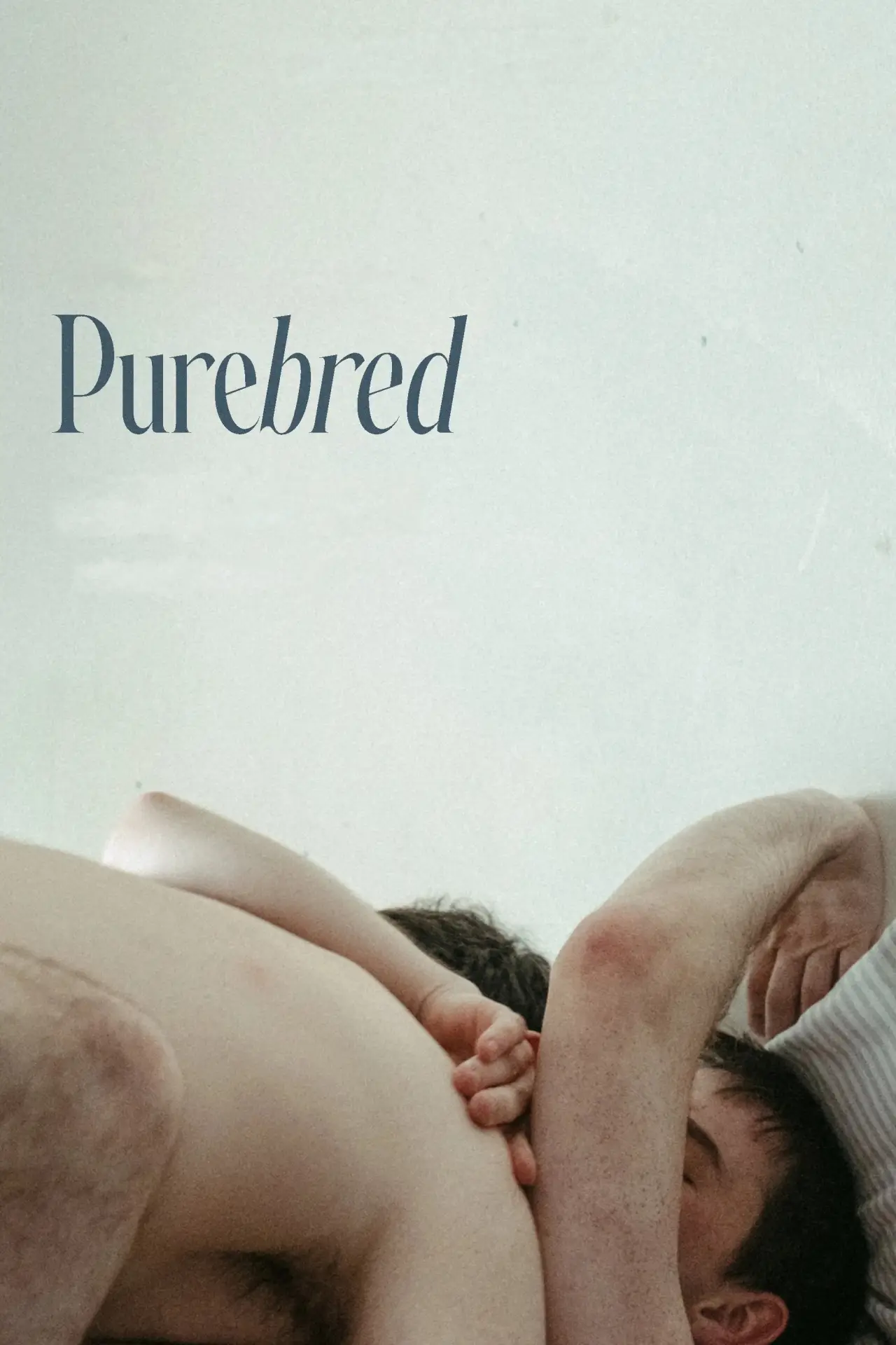 Movie poster "Purebred"