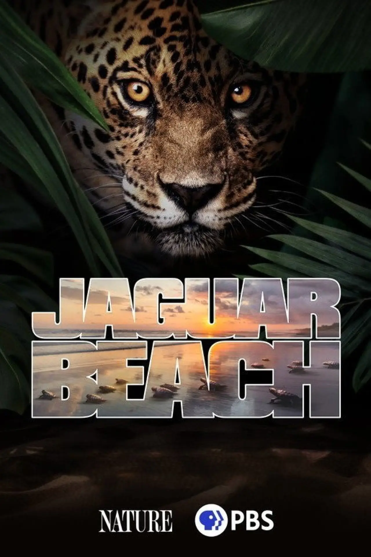 Movie poster "Jaguar Beach‎"