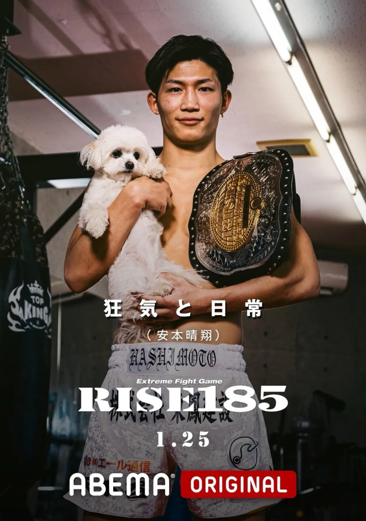 Movie poster "RISE 185"