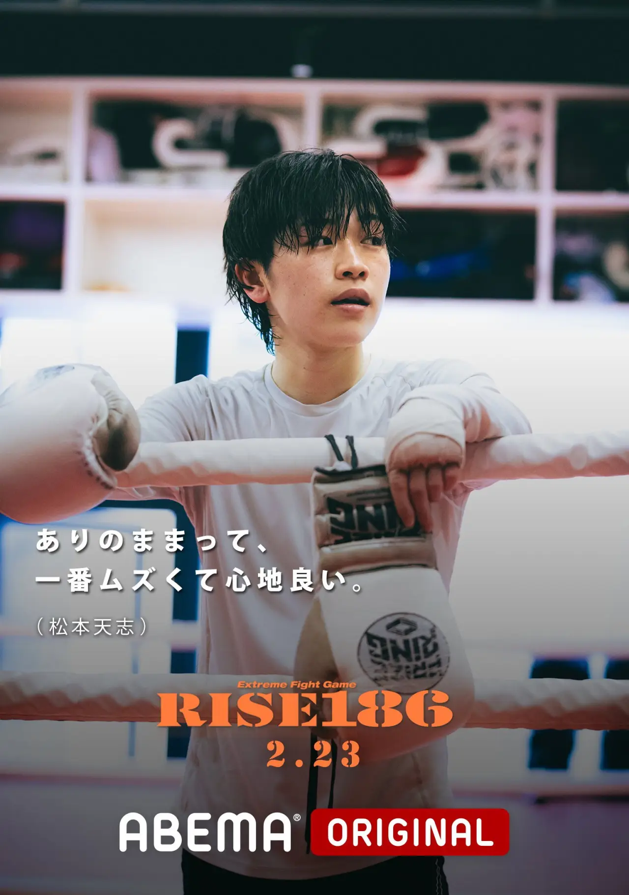 Movie poster "RISE 186"