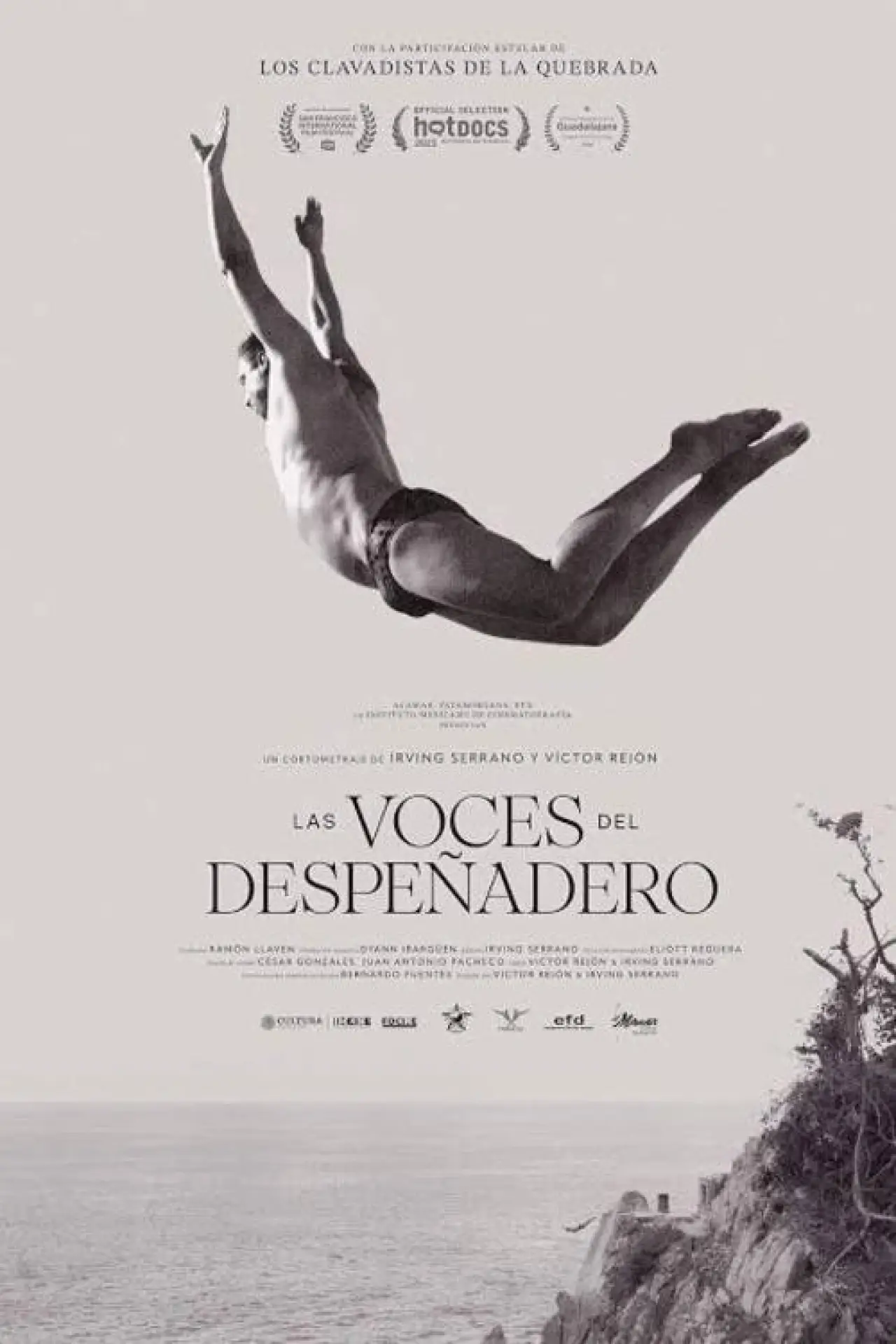 Movie poster "Voices from the Abyss"