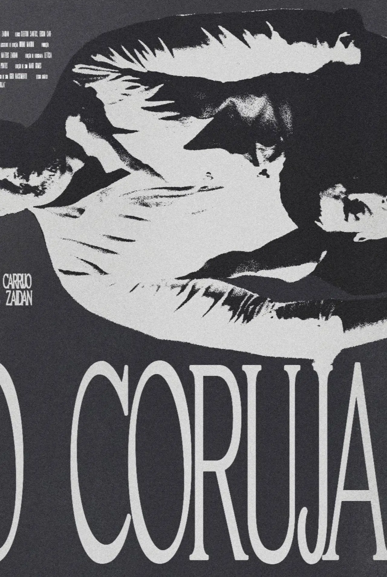 Movie poster "The Owl"
