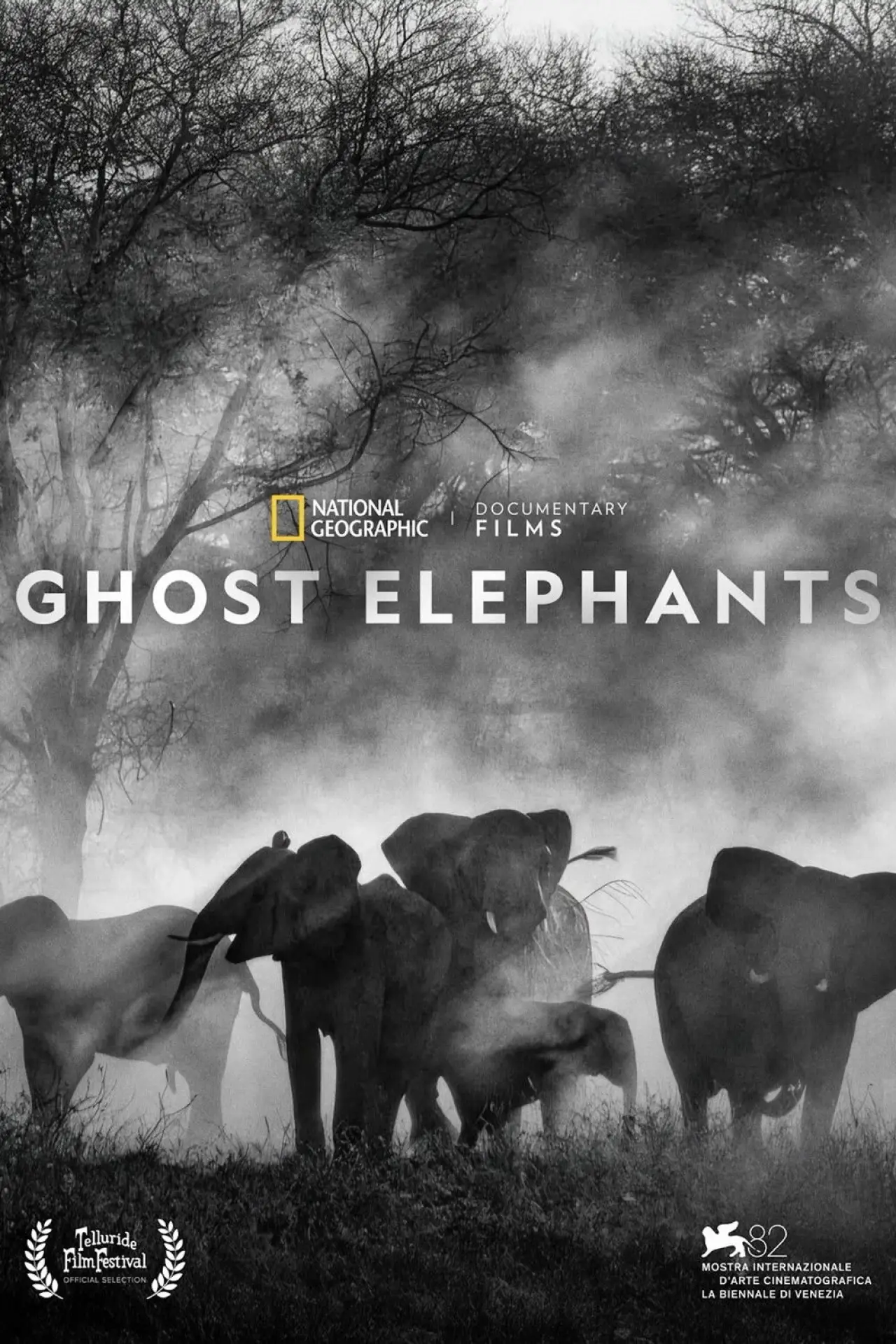Movie poster "Ghost Elephants"
