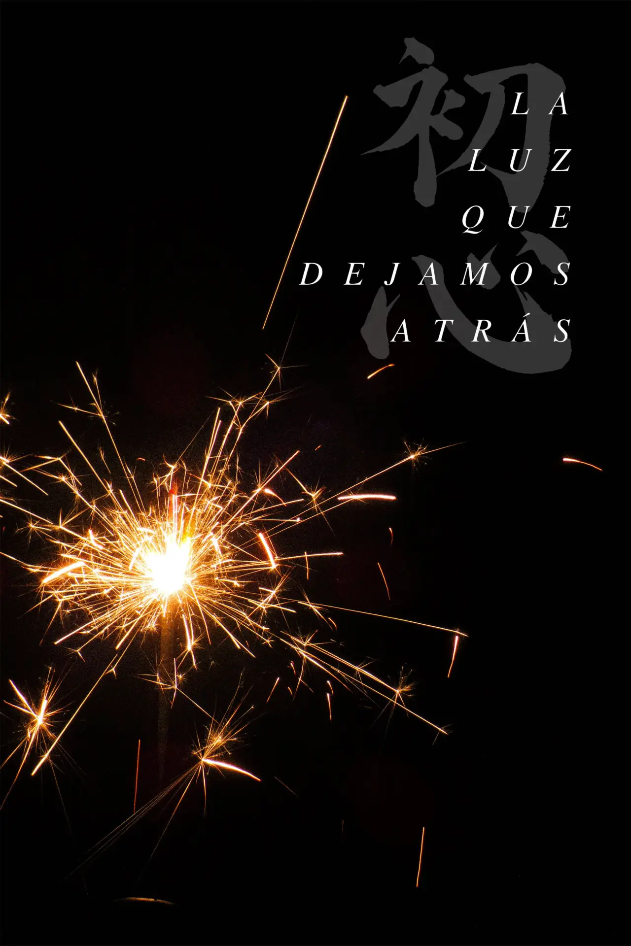 Movie poster "The Light We Left Behind"