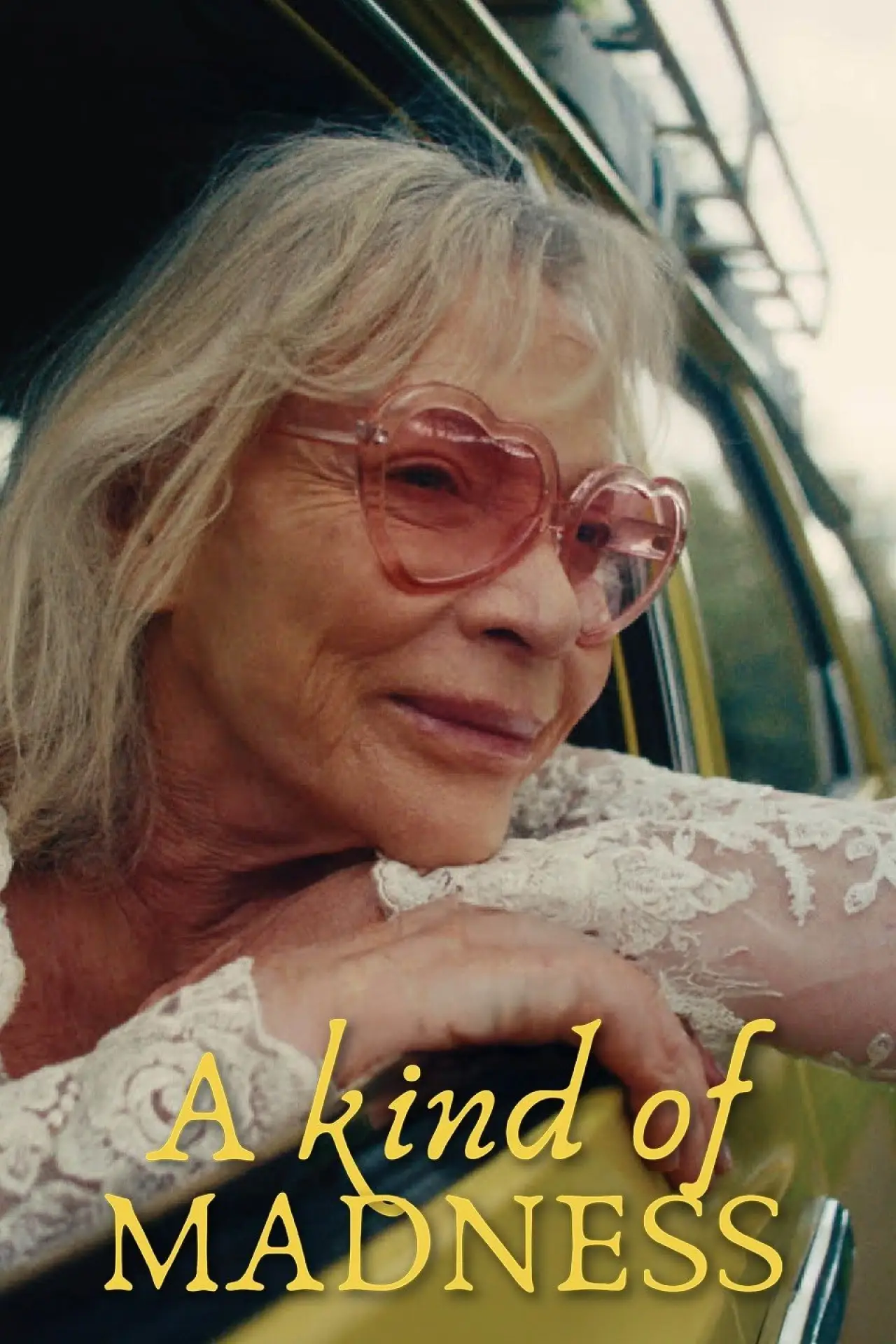Movie poster "A Kind of Madness"