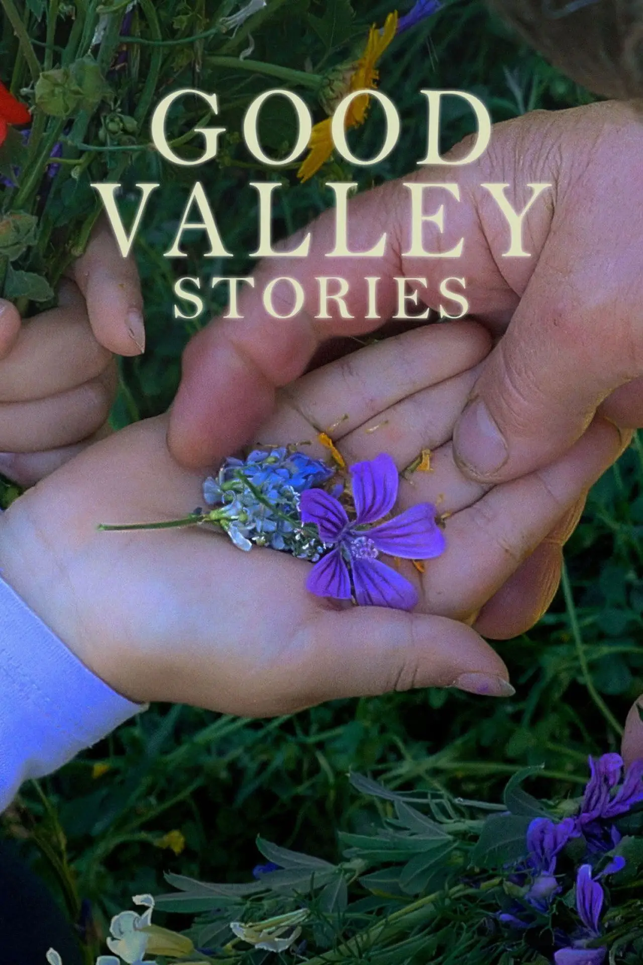 Movie poster "Good Valley Stories"