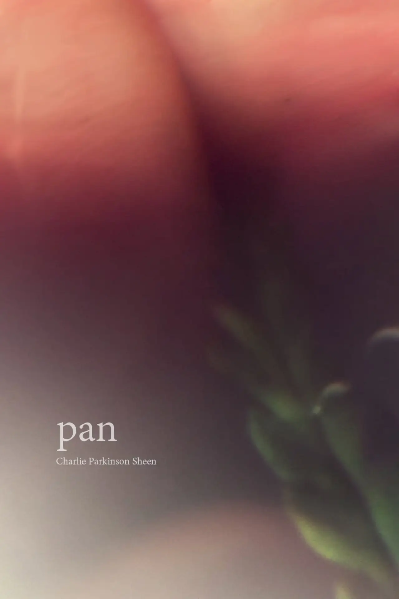 Movie poster "Pan"