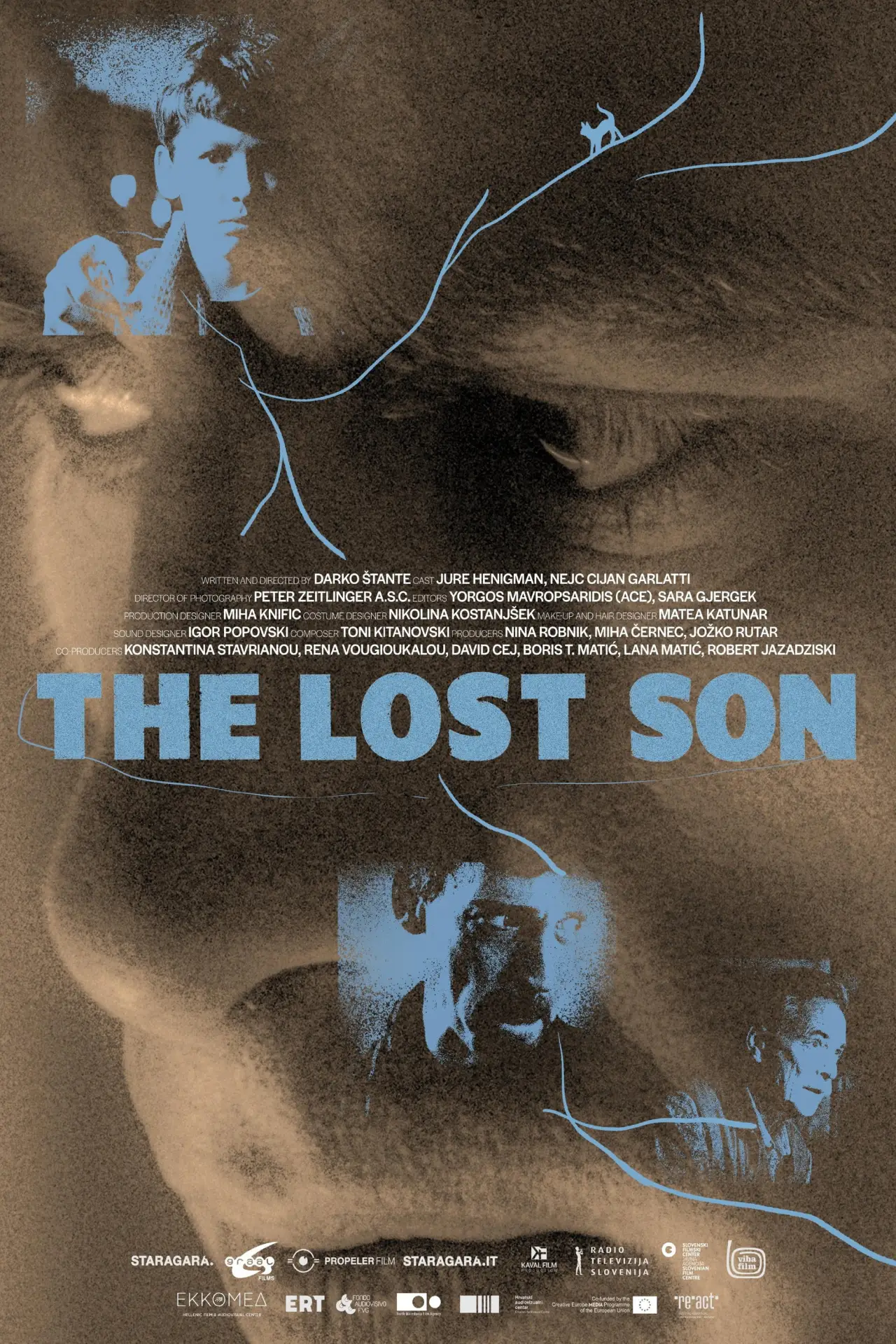 Movie poster "The Lost Son"