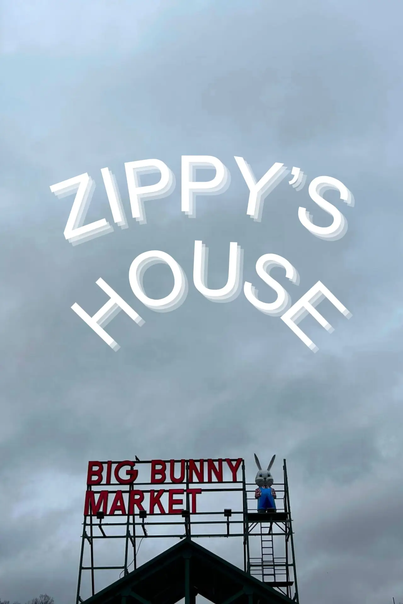 Movie poster "Zippy
