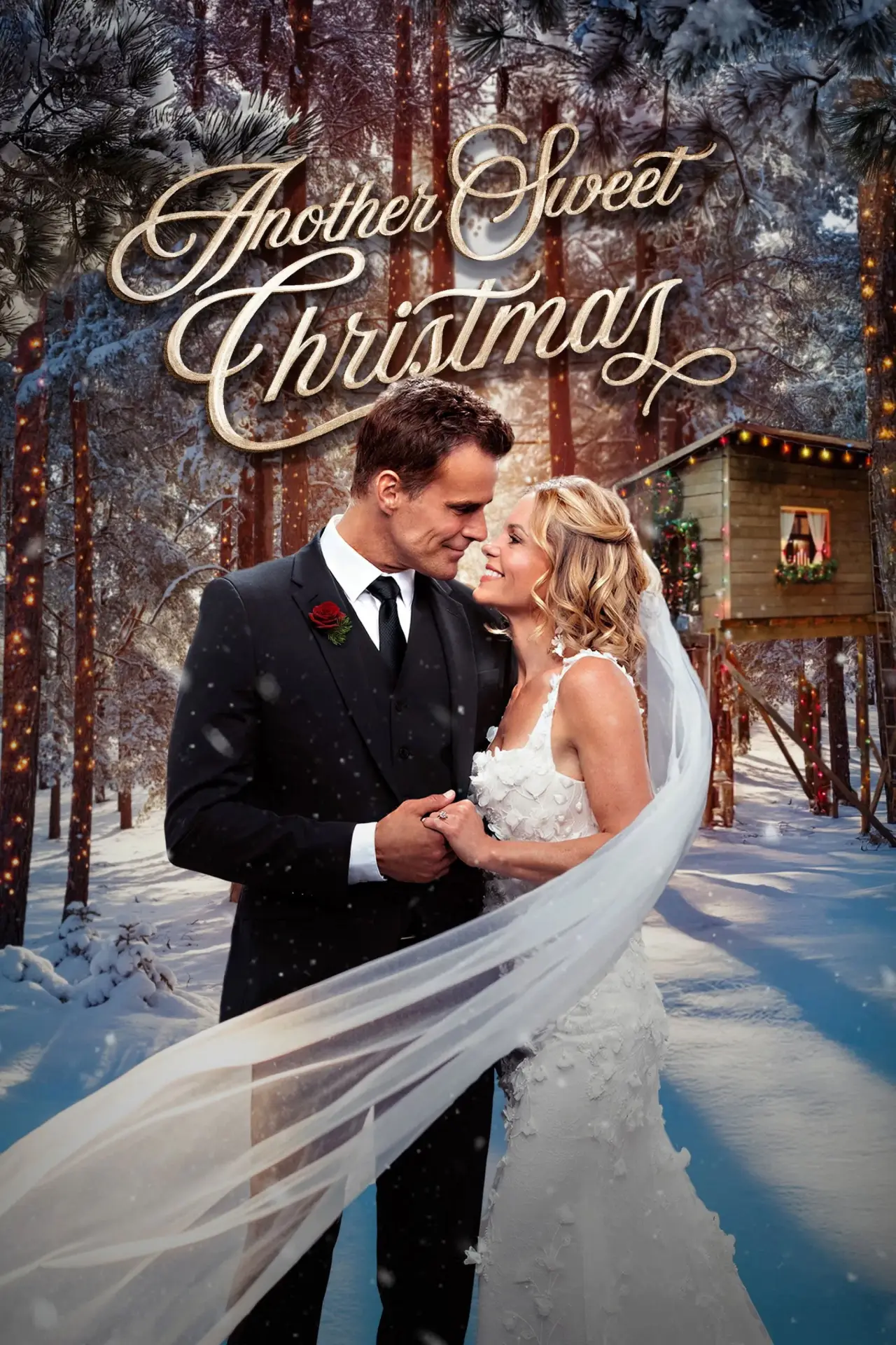 Movie poster "Another Sweet Christmas"
