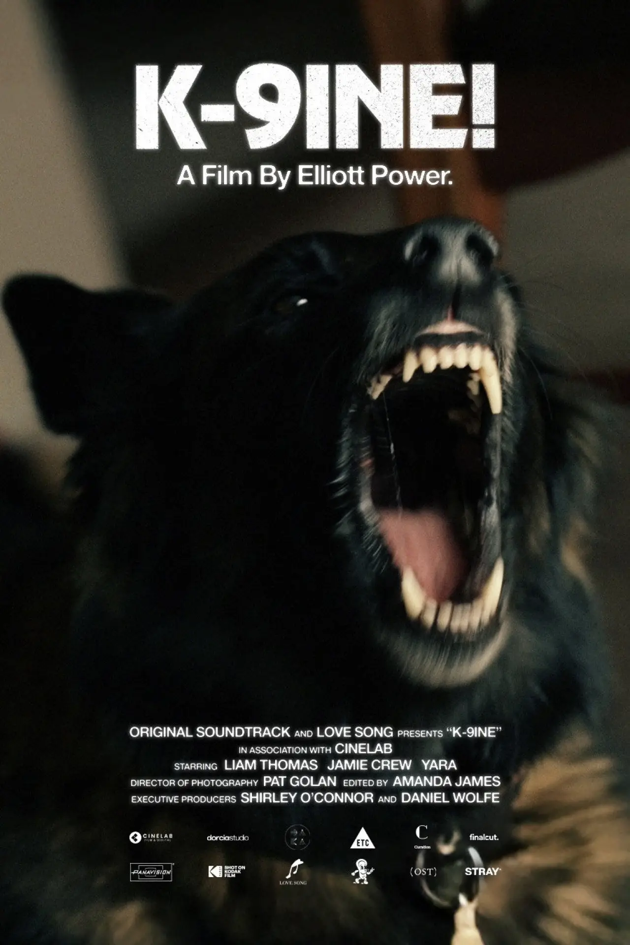 Movie poster "K-9INE!"