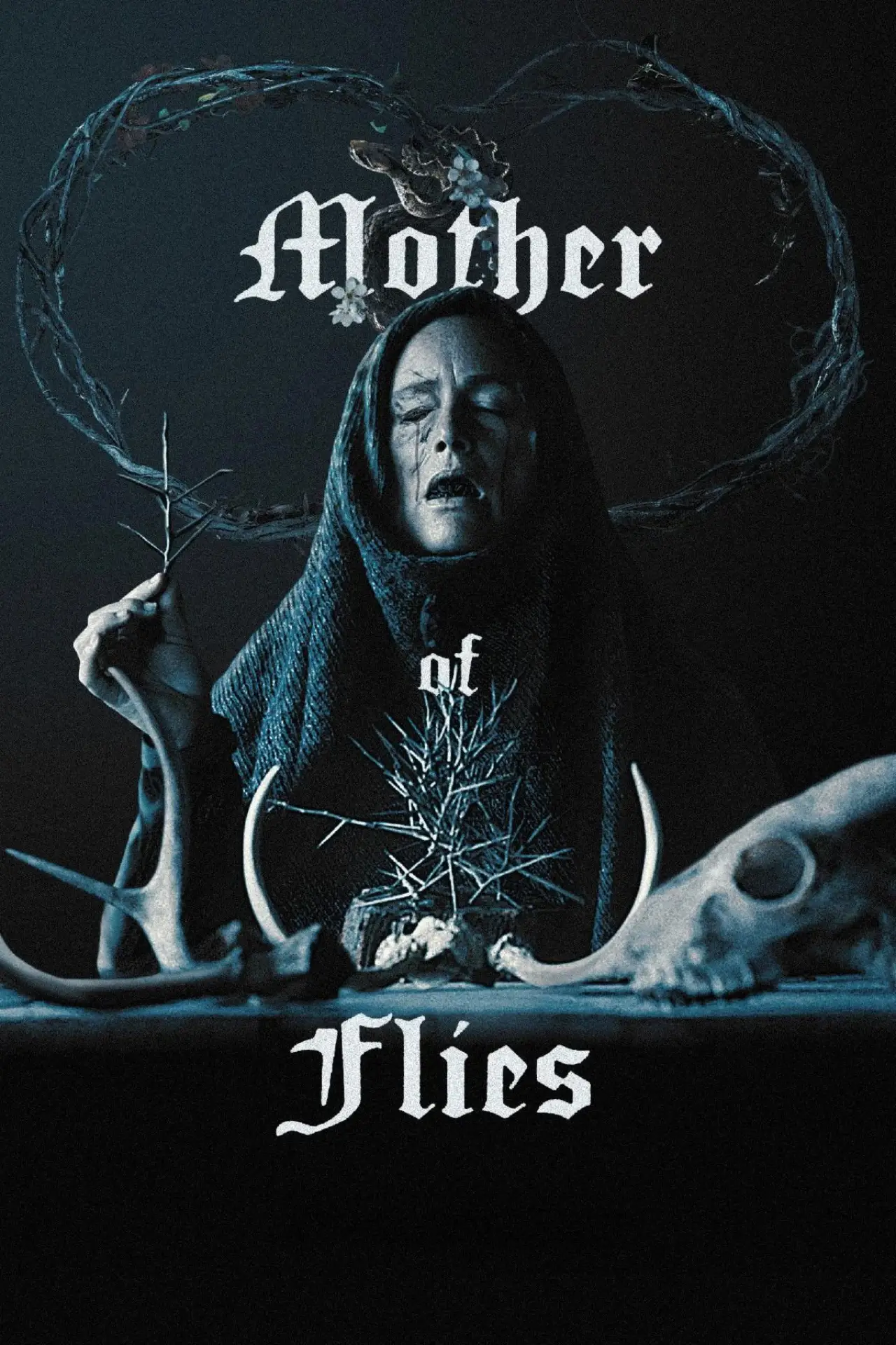 Movie poster "Mother of Flies"