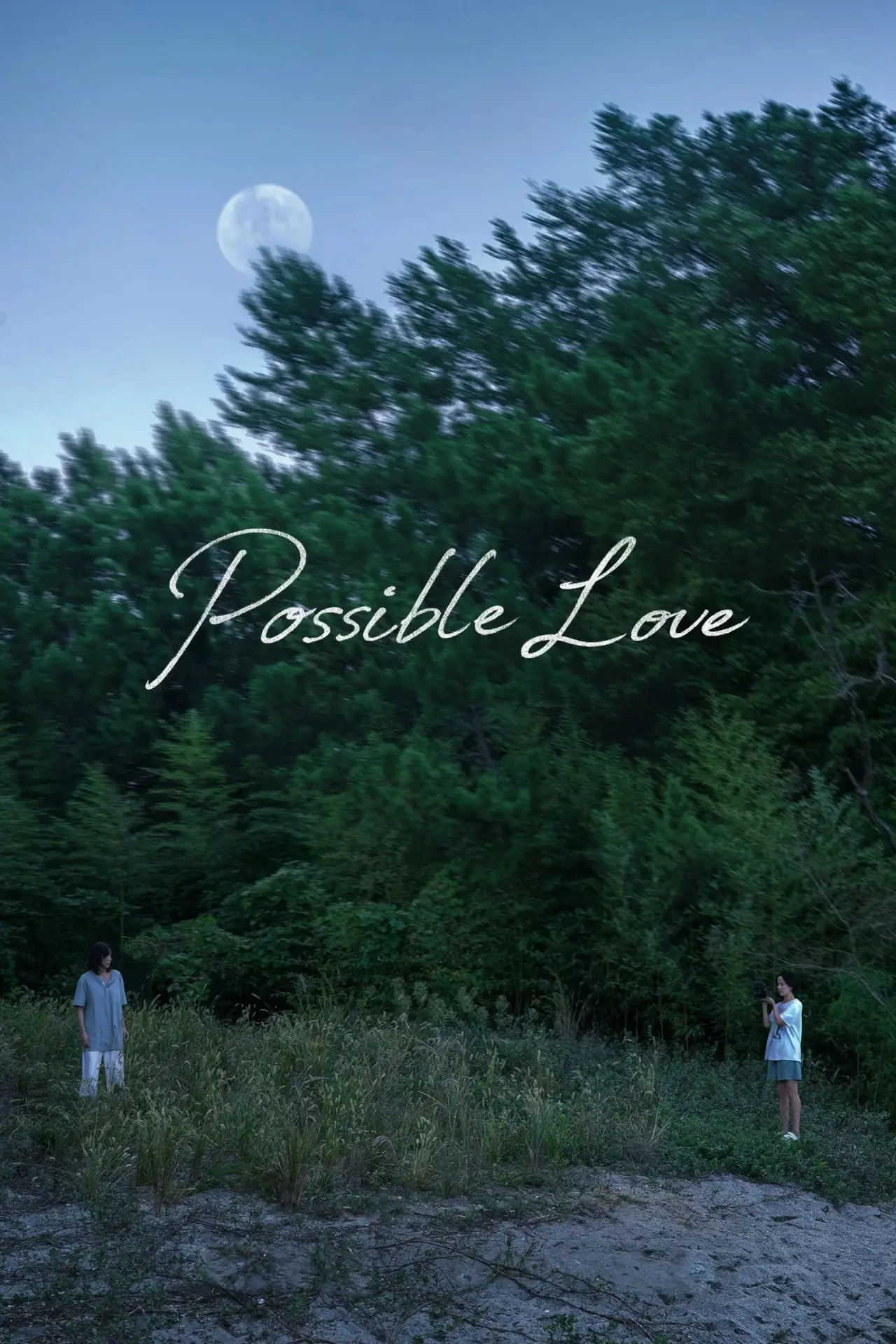 Movie poster "Possible Love"