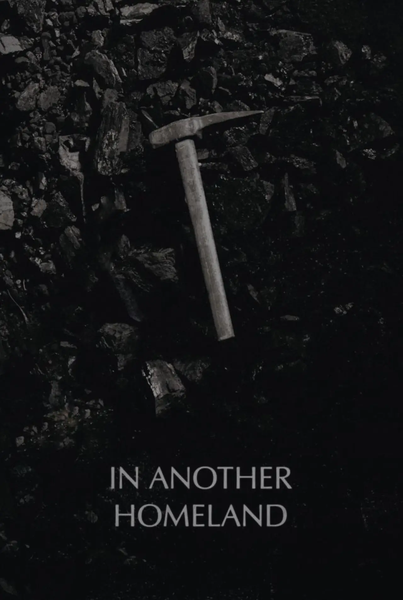 Movie poster "In Another Homeland"