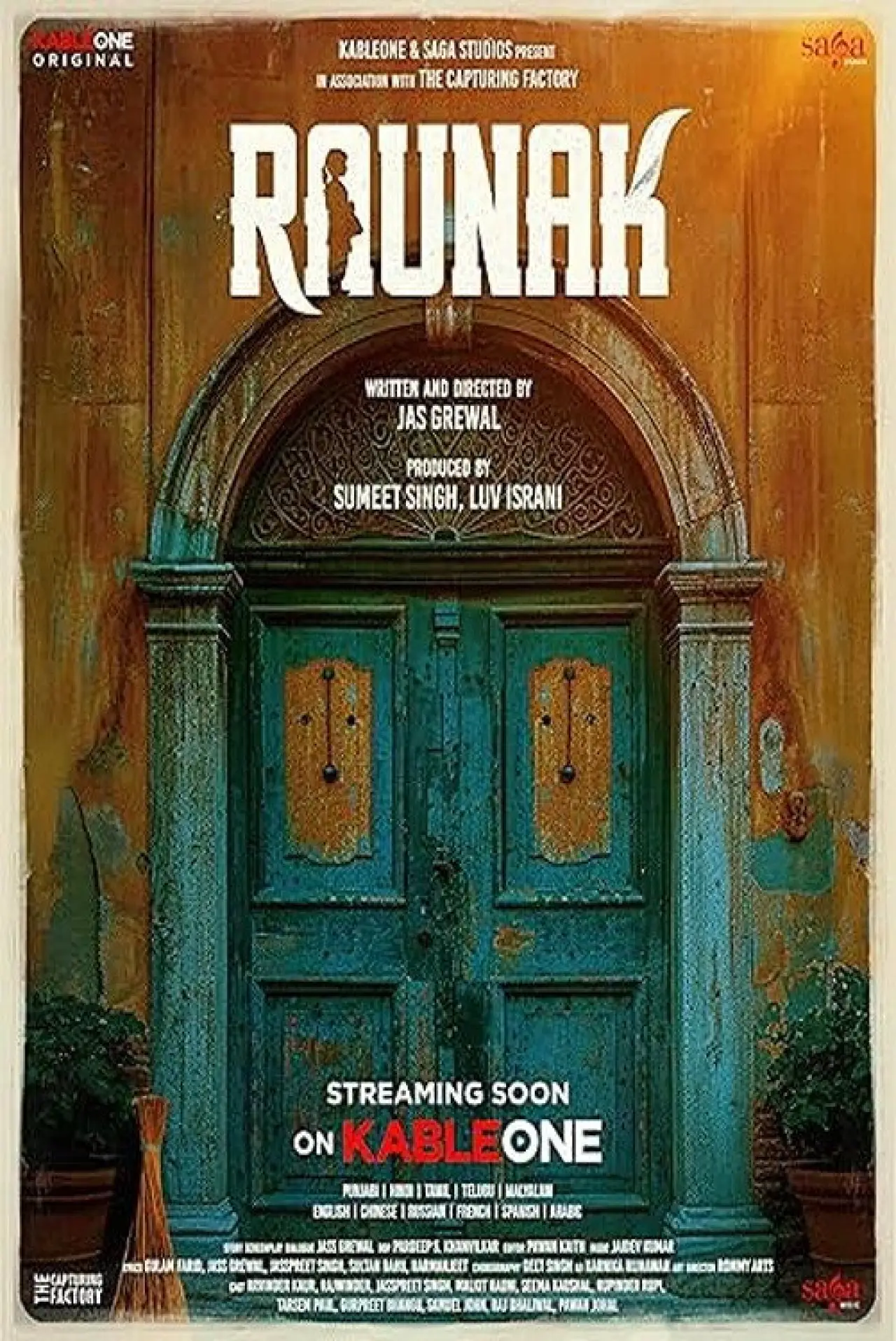 Movie poster "Raunak"