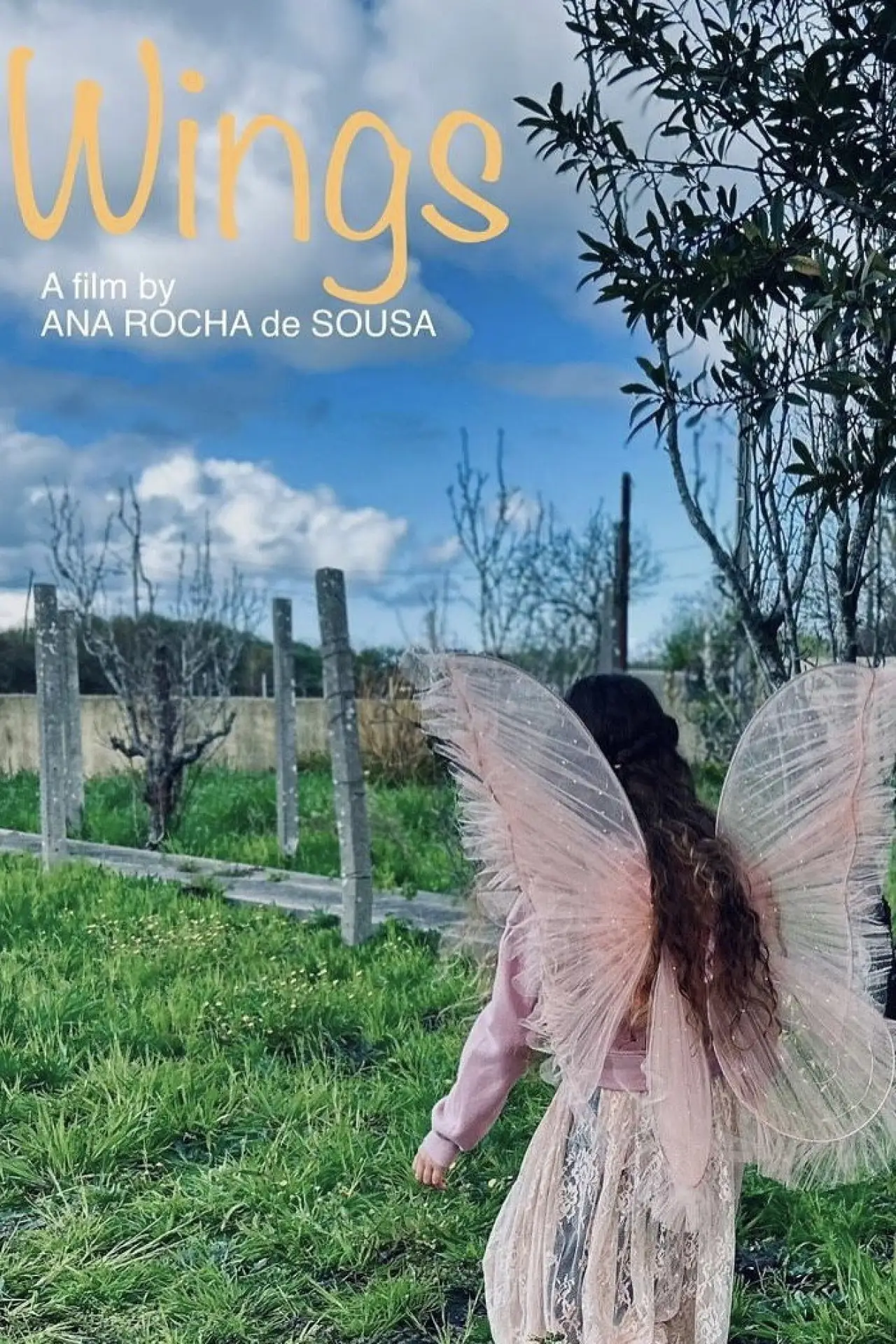 Movie poster "Wings"
