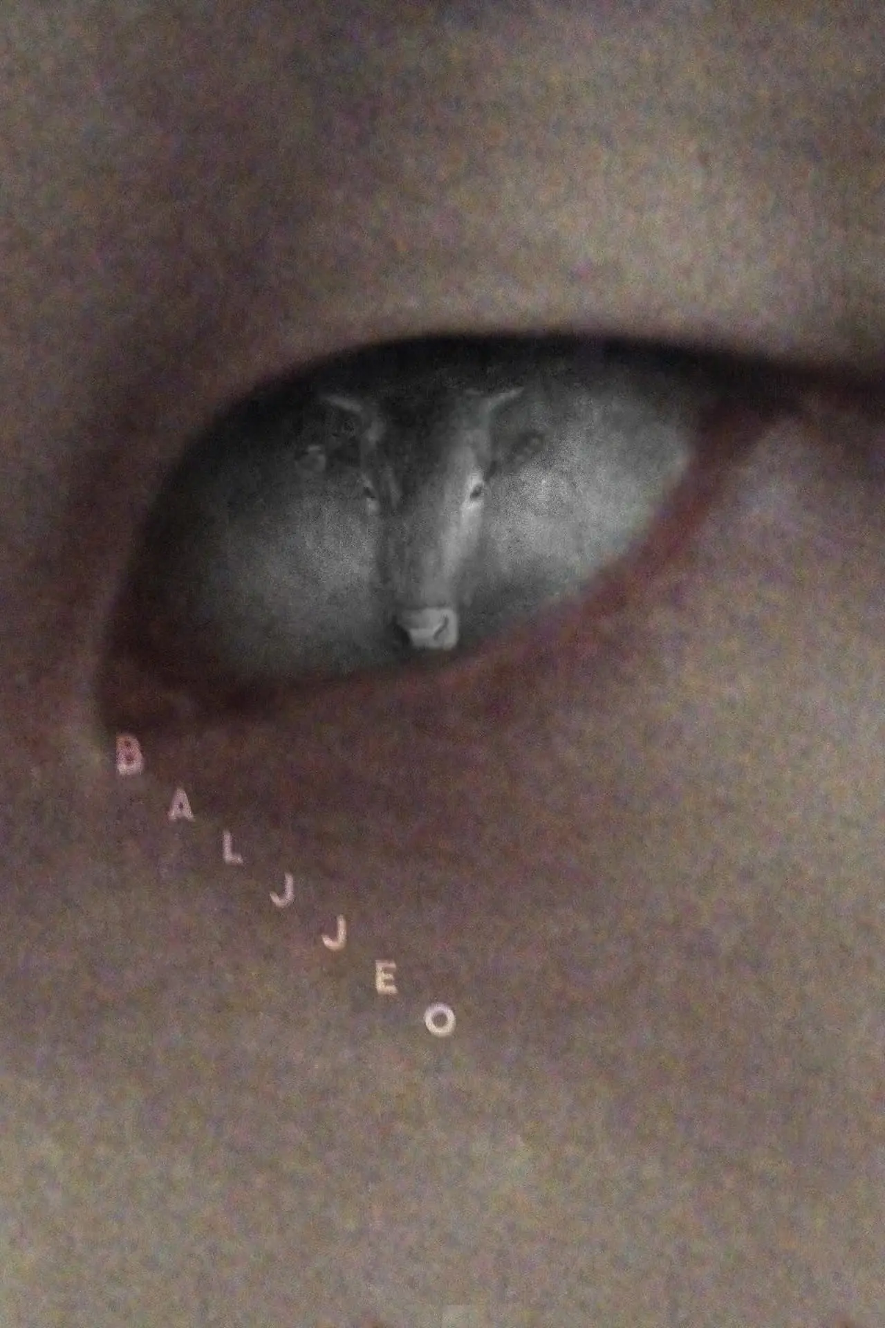 Movie poster "Baljjeo"