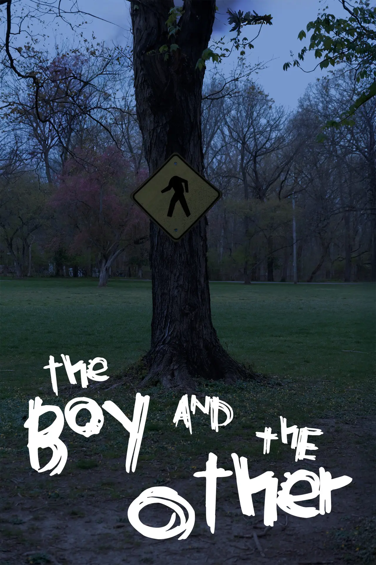 Movie poster "The Boy and The Other"