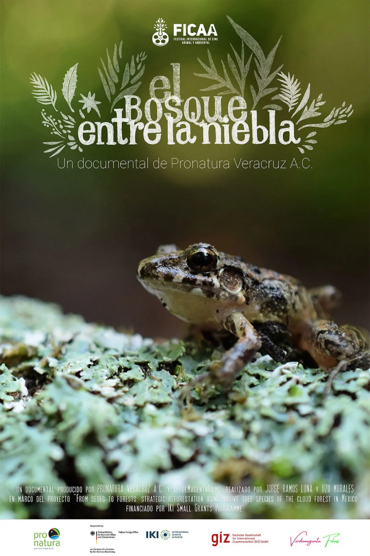 Movie poster "El bosque entre la niebla"
