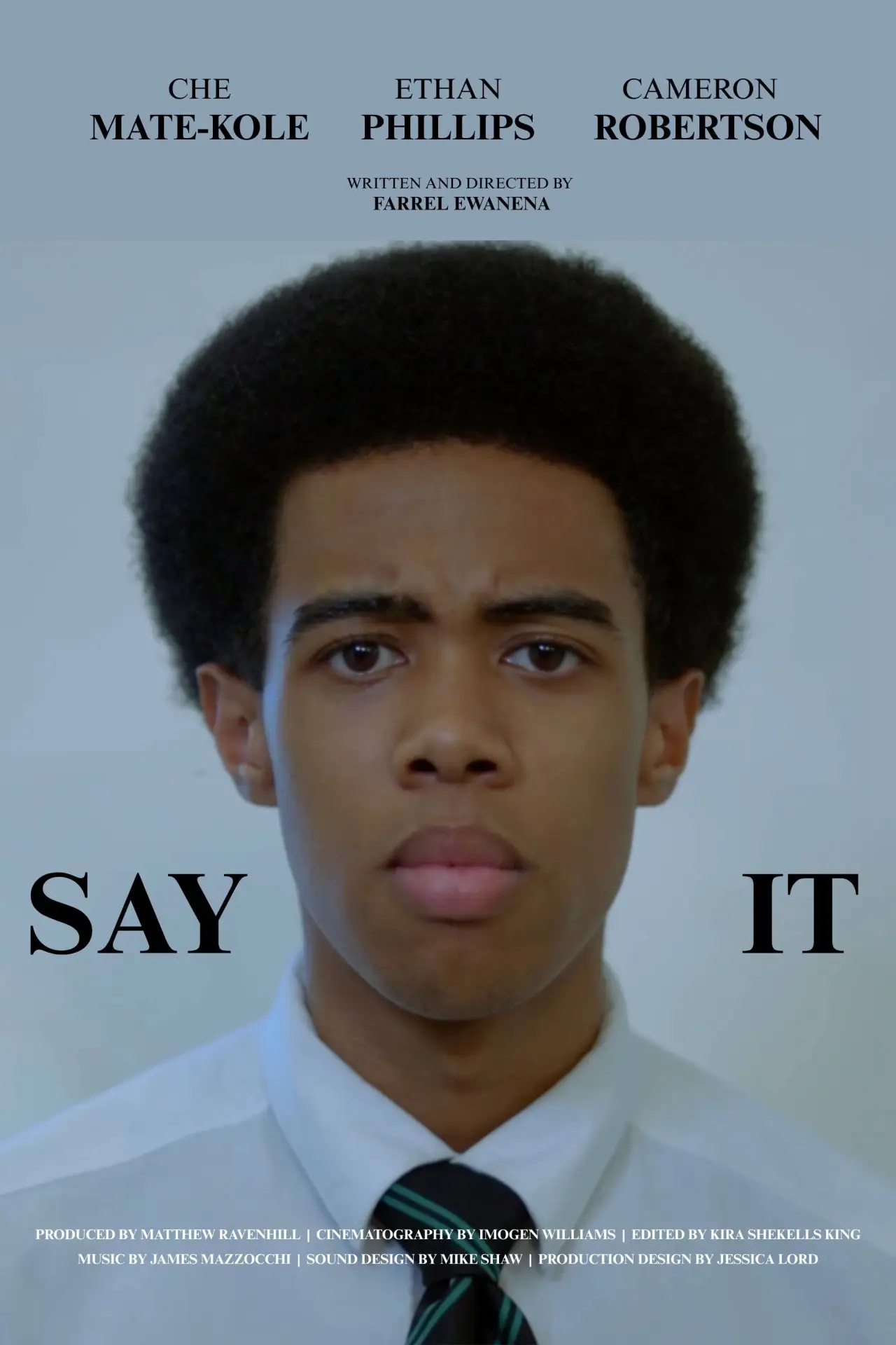 Movie poster "Say It"