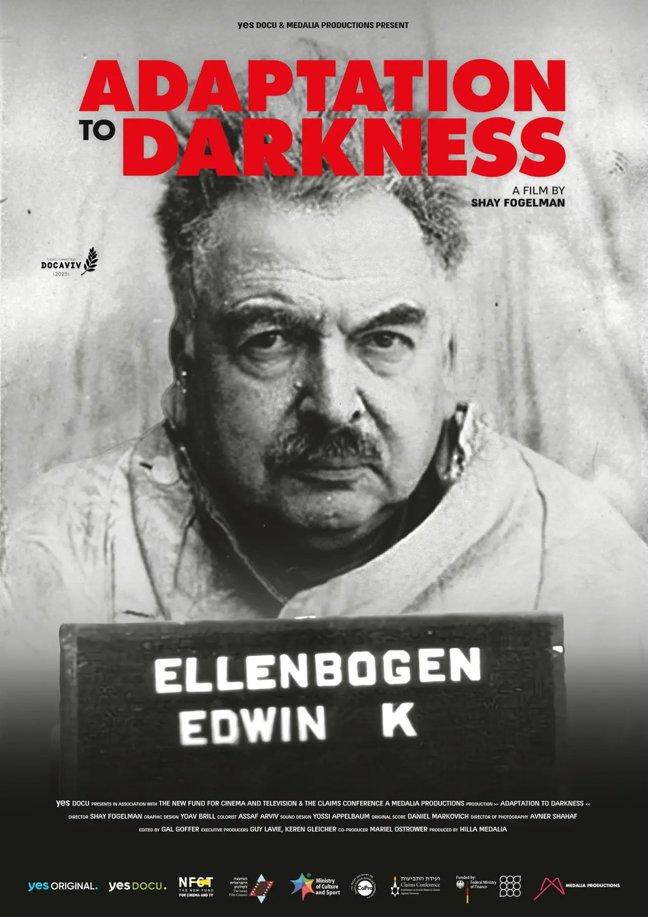 Movie poster "Adaptation to Darkness"