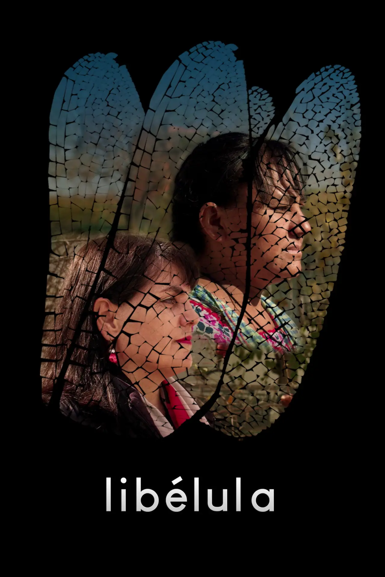 Movie poster "Dragonfly"