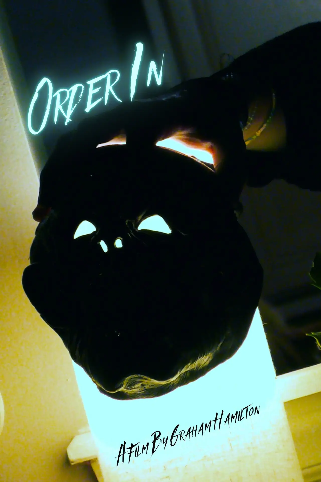 Movie poster "Order In"