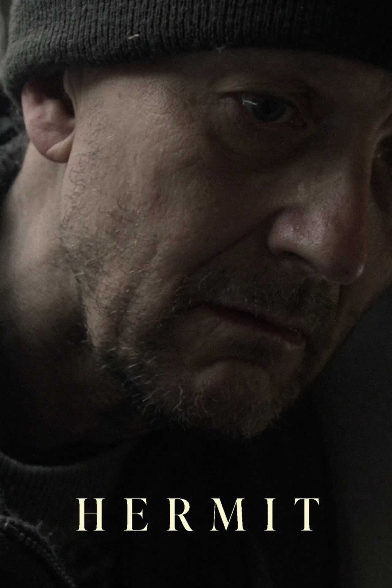 Movie poster "Hermit"