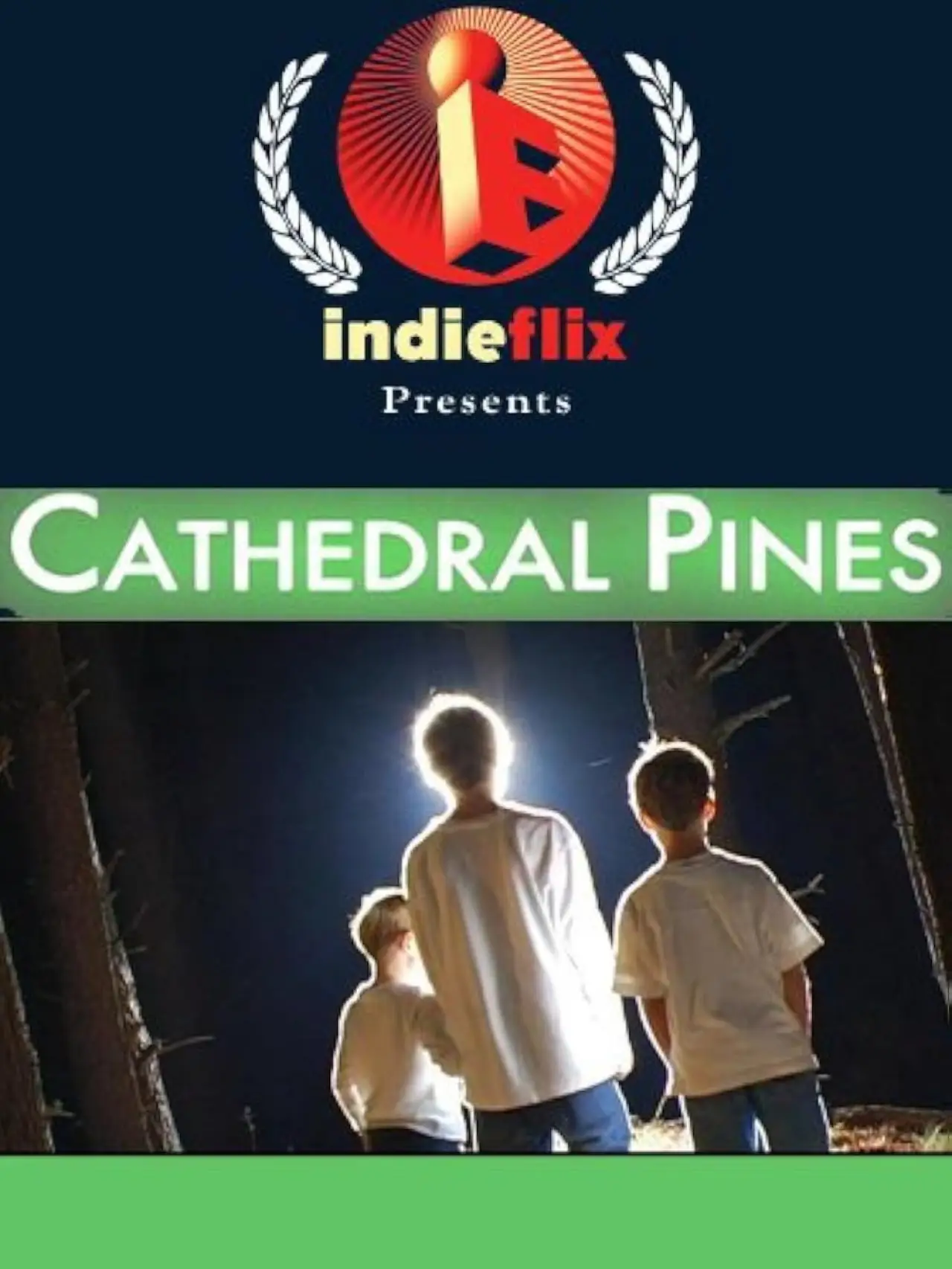 Movie poster "Cathedral Pines"