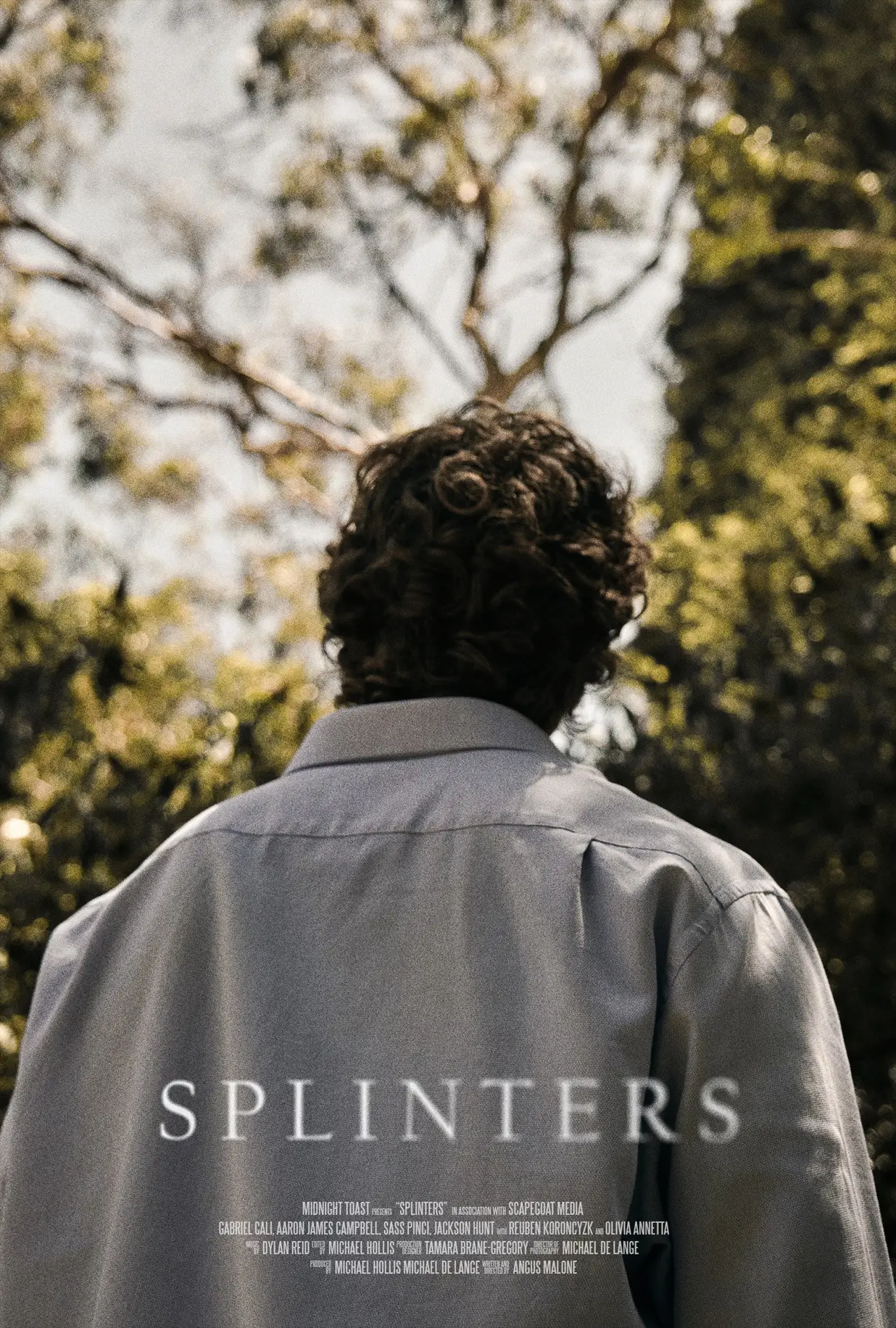 Movie poster "Splinters"