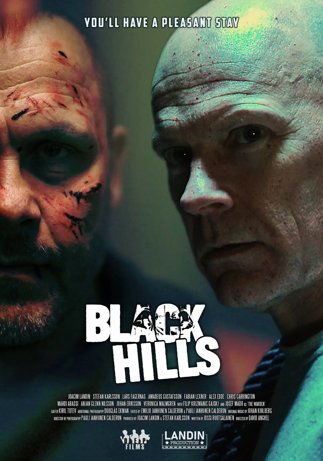 Movie poster "Black Hills"