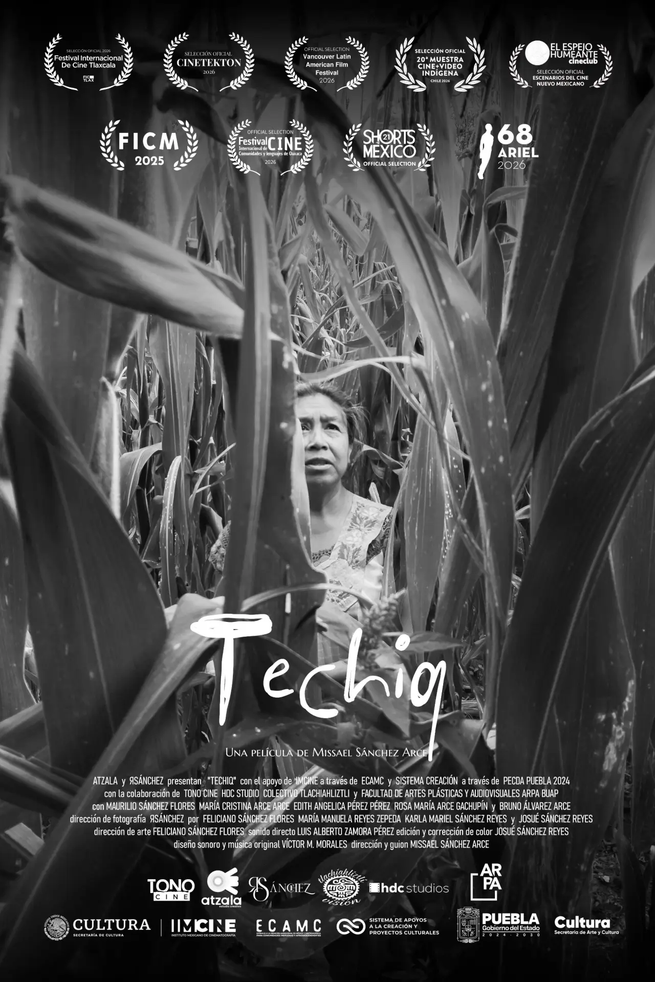 Movie poster "Techiq"